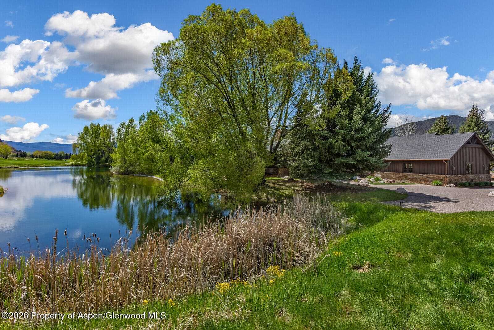 38 E Diamond A Ranch Road, Carbondale, CO 81623 - Photo 123