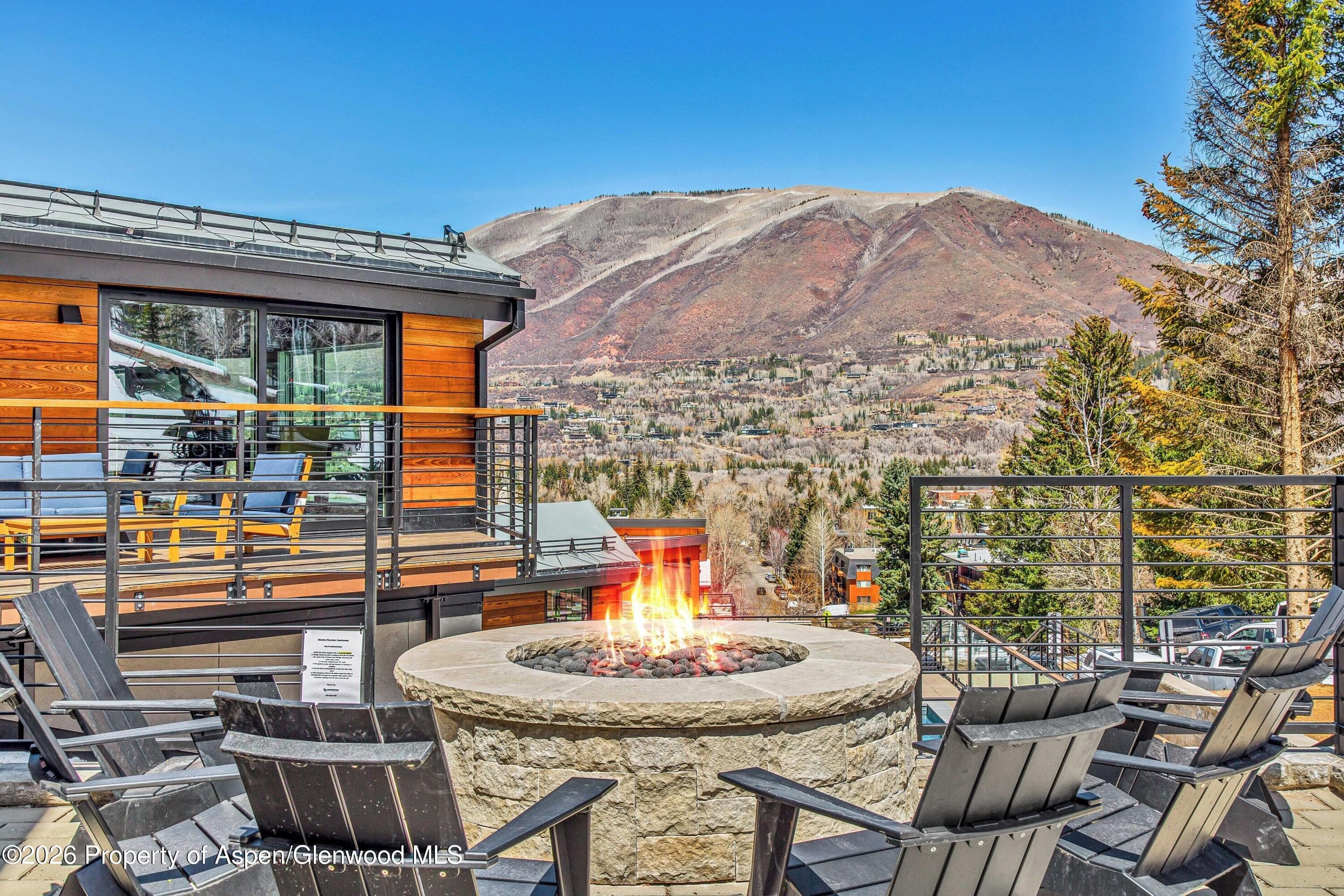 809 S Aspen Street #7, Aspen, CO 81611 - Photo 16