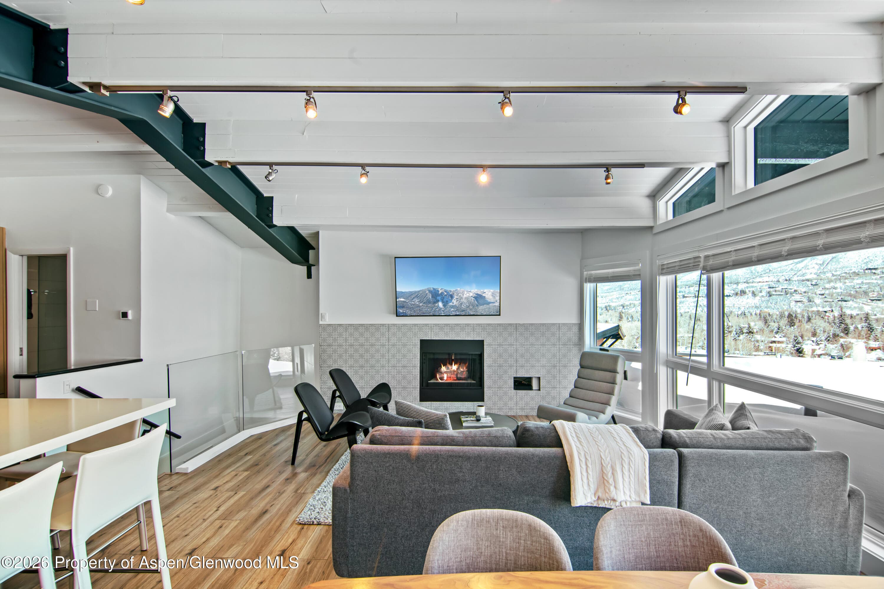 809 S Aspen Street #7, Aspen, CO 81611 - Photo 20