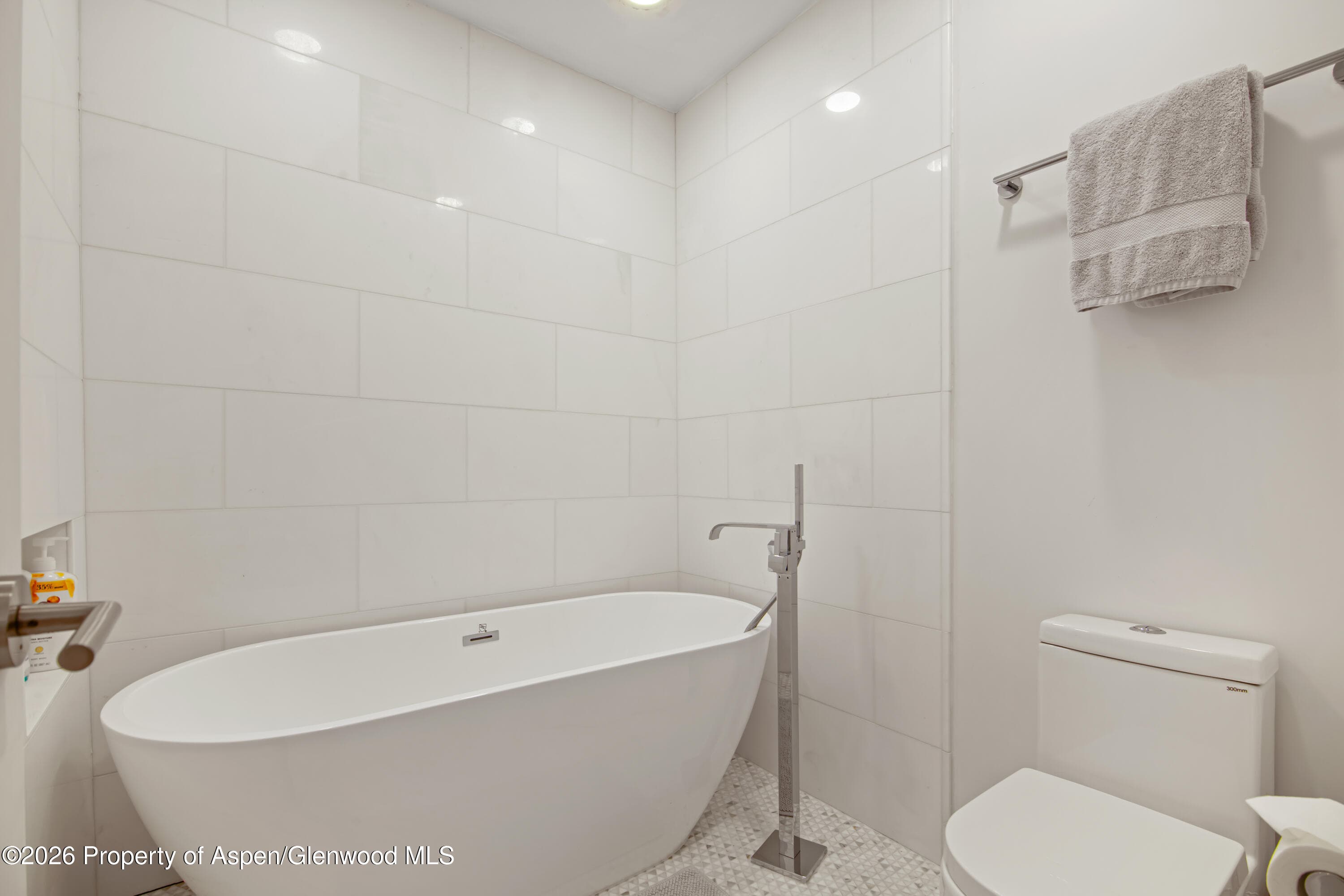 809 S Aspen Street #7, Aspen, CO 81611 - Photo 23