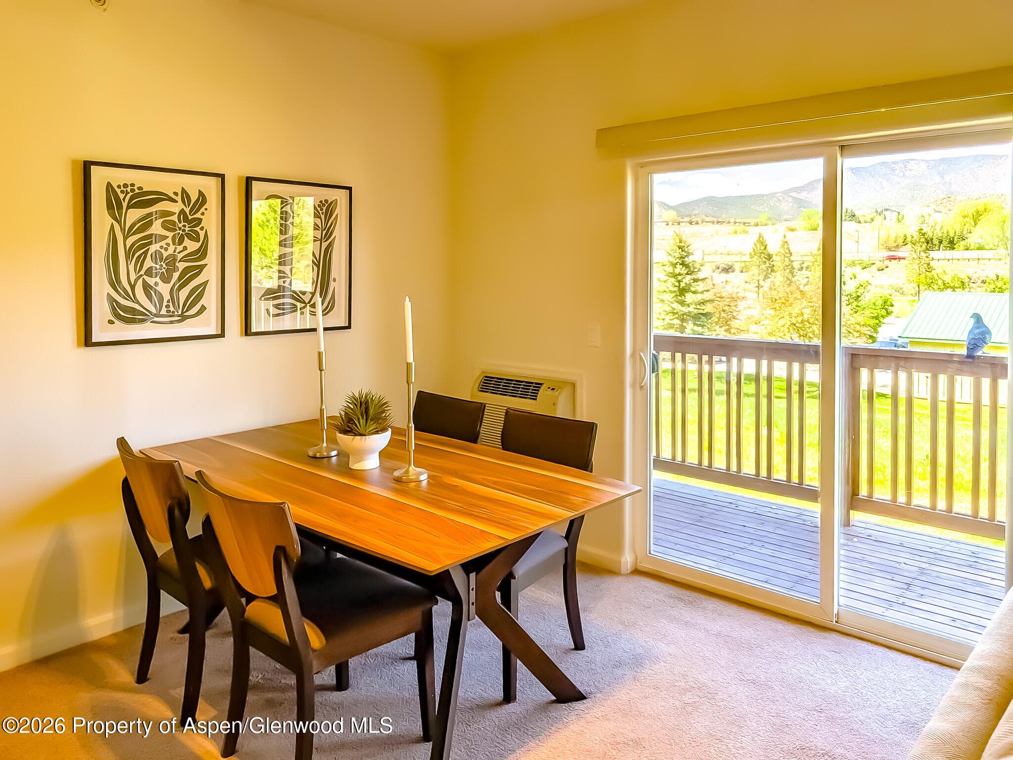 511 Riverview Drive 1404, New Castle, CO 81647 - Photo 5