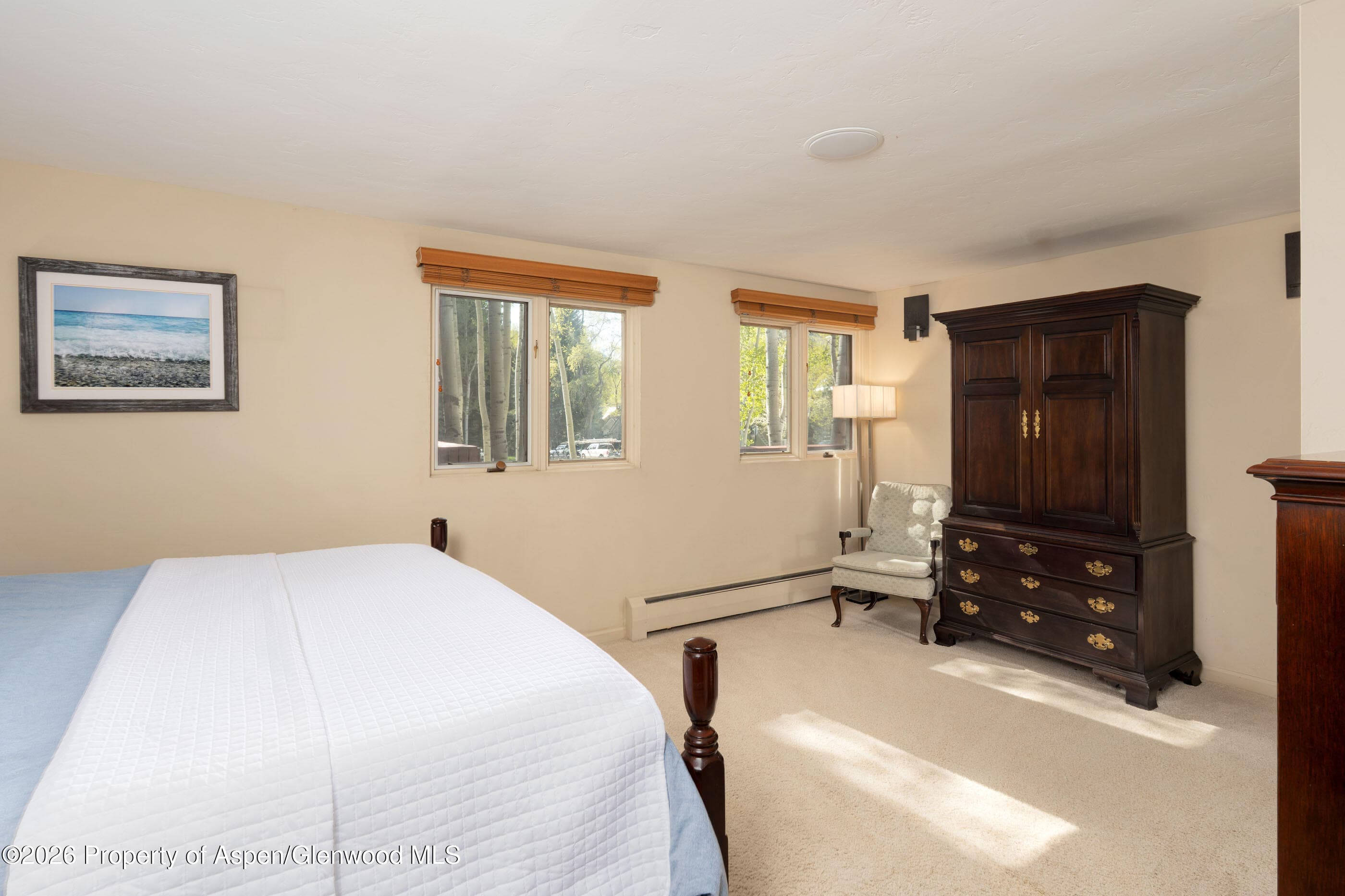 400 W Hopkins Avenue 5, Aspen, CO 81611 - Photo 12