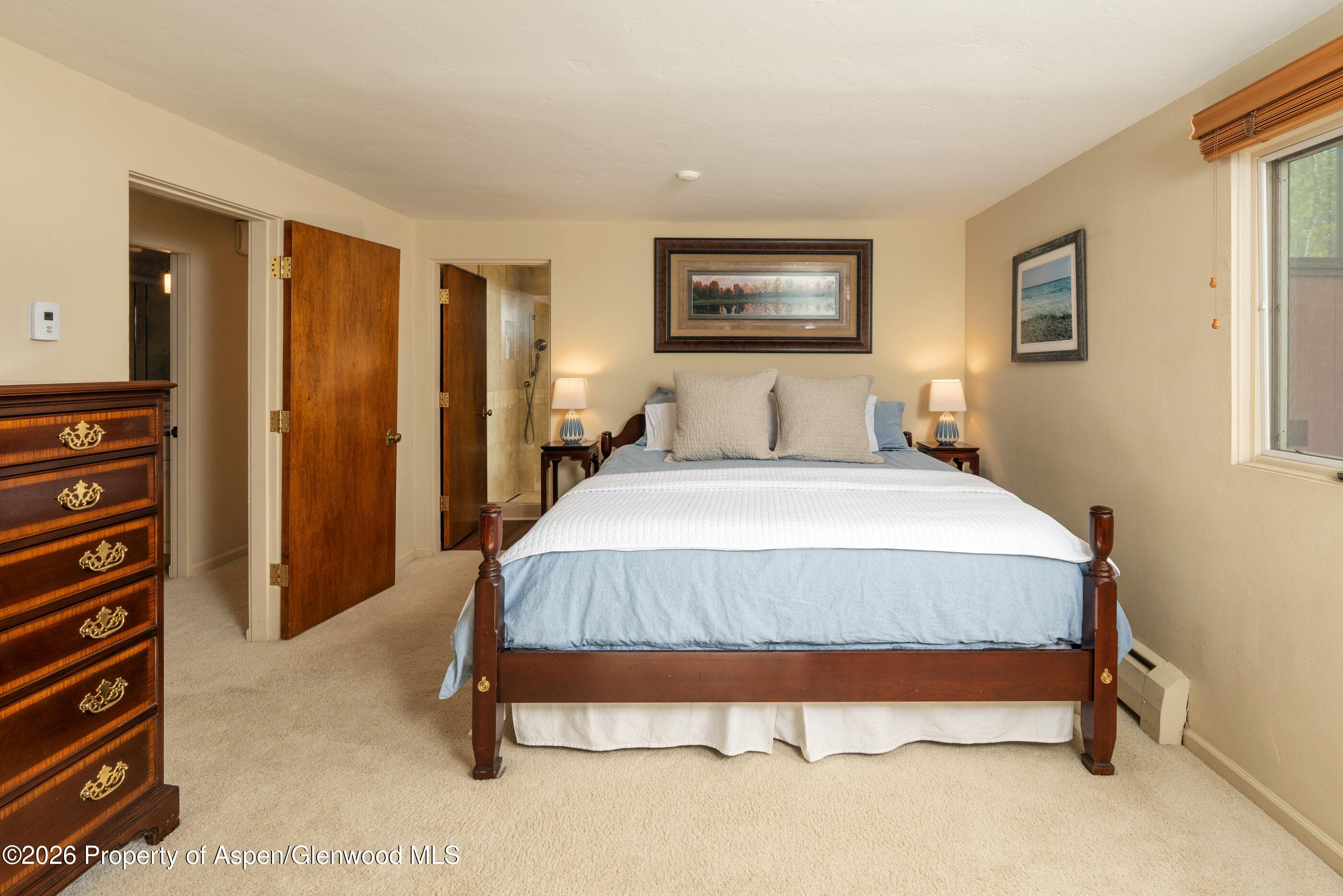 400 W Hopkins Avenue 5, Aspen, CO 81611 - Photo 11