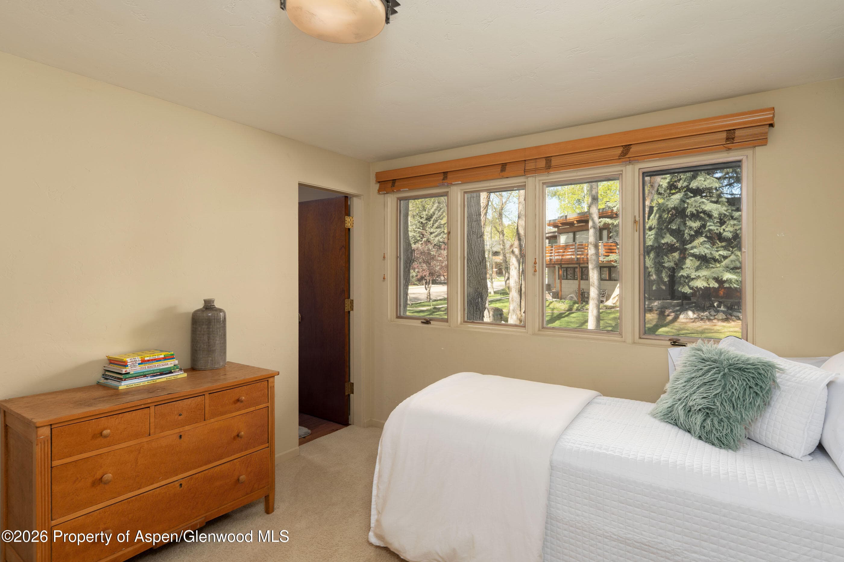400 W Hopkins Avenue 5, Aspen, CO 81611 - Photo 16