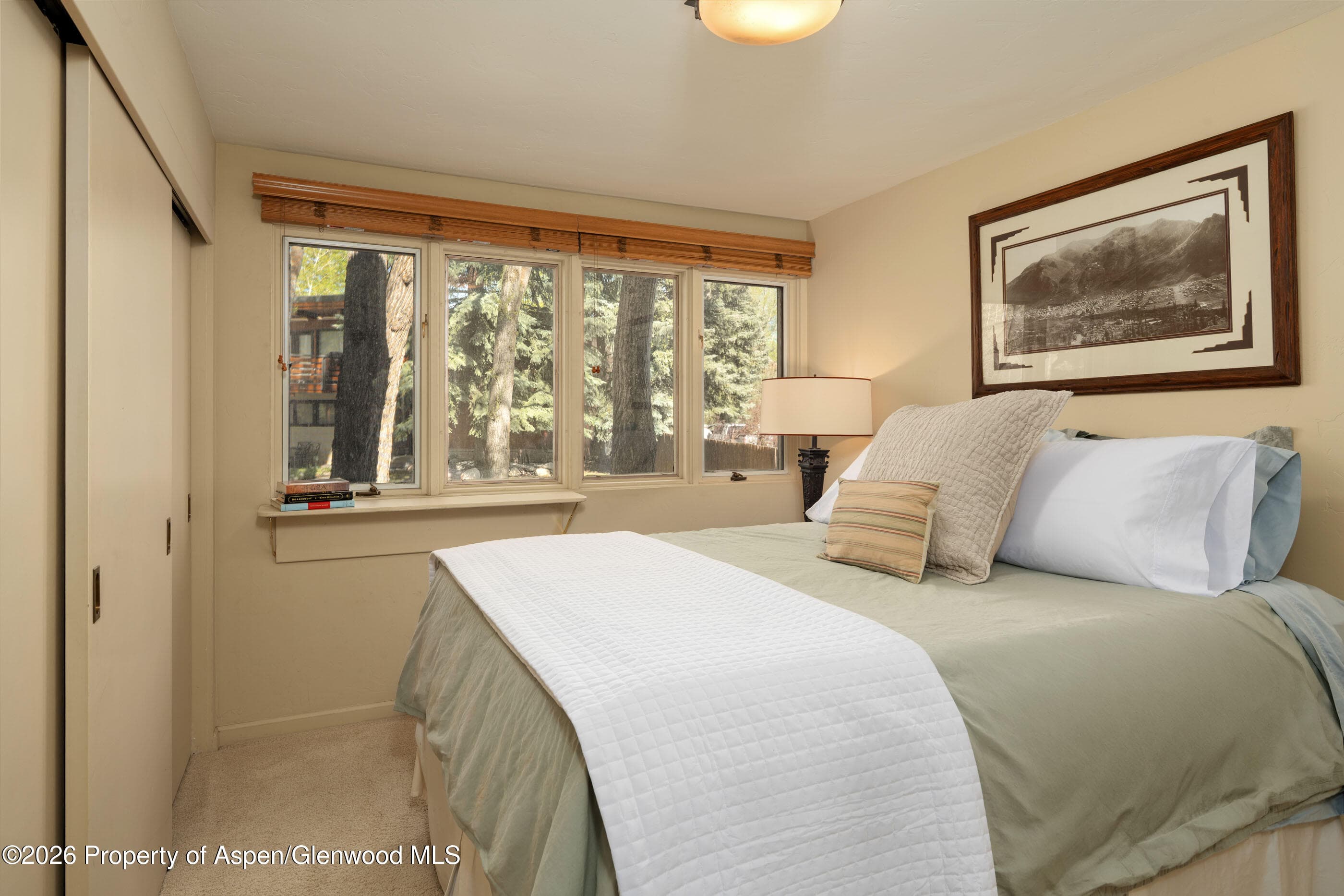 400 W Hopkins Avenue 5, Aspen, CO 81611 - Photo 14