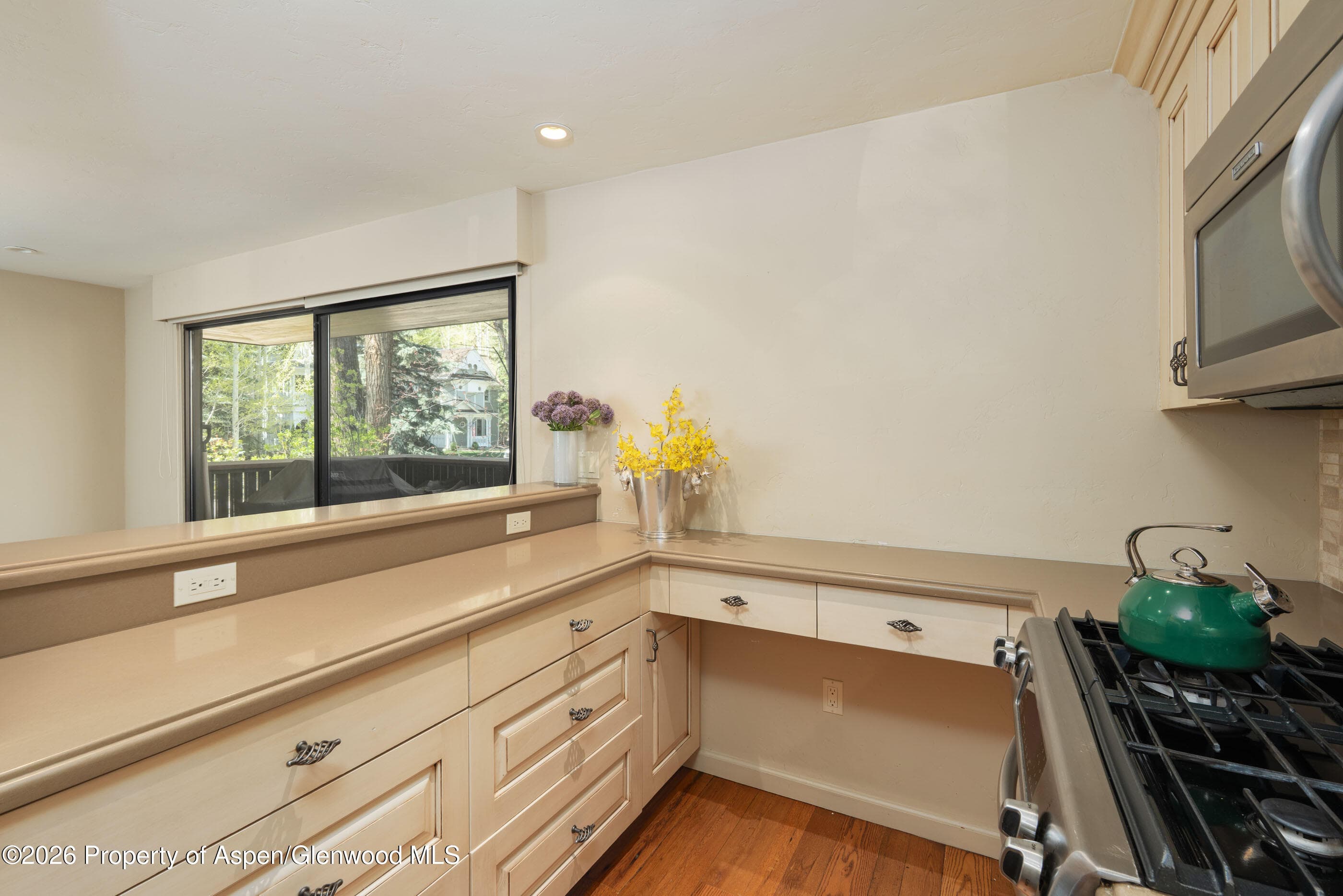 400 W Hopkins Avenue 5, Aspen, CO 81611 - Photo 9