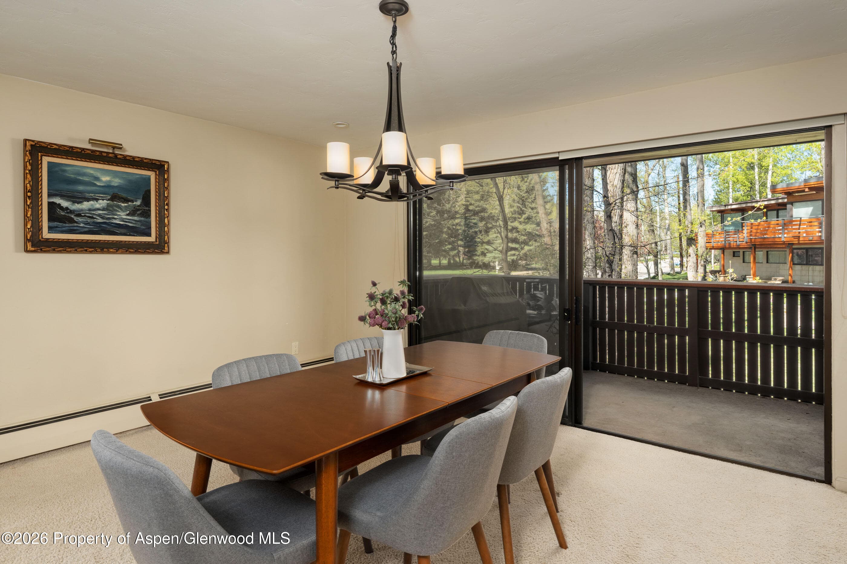 400 W Hopkins Avenue 5, Aspen, CO 81611 - Photo 5