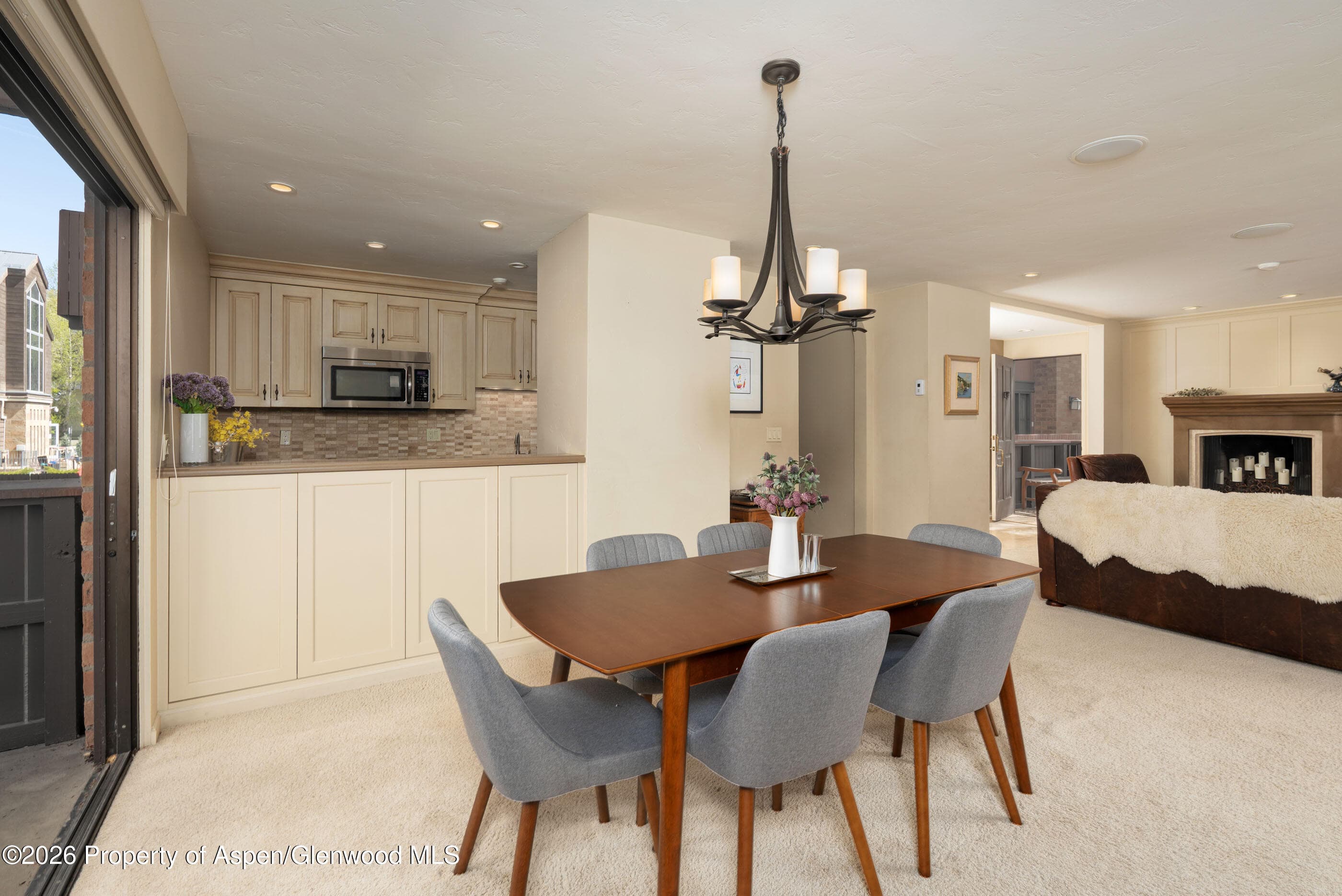 400 W Hopkins Avenue 5, Aspen, CO 81611 - Photo 6