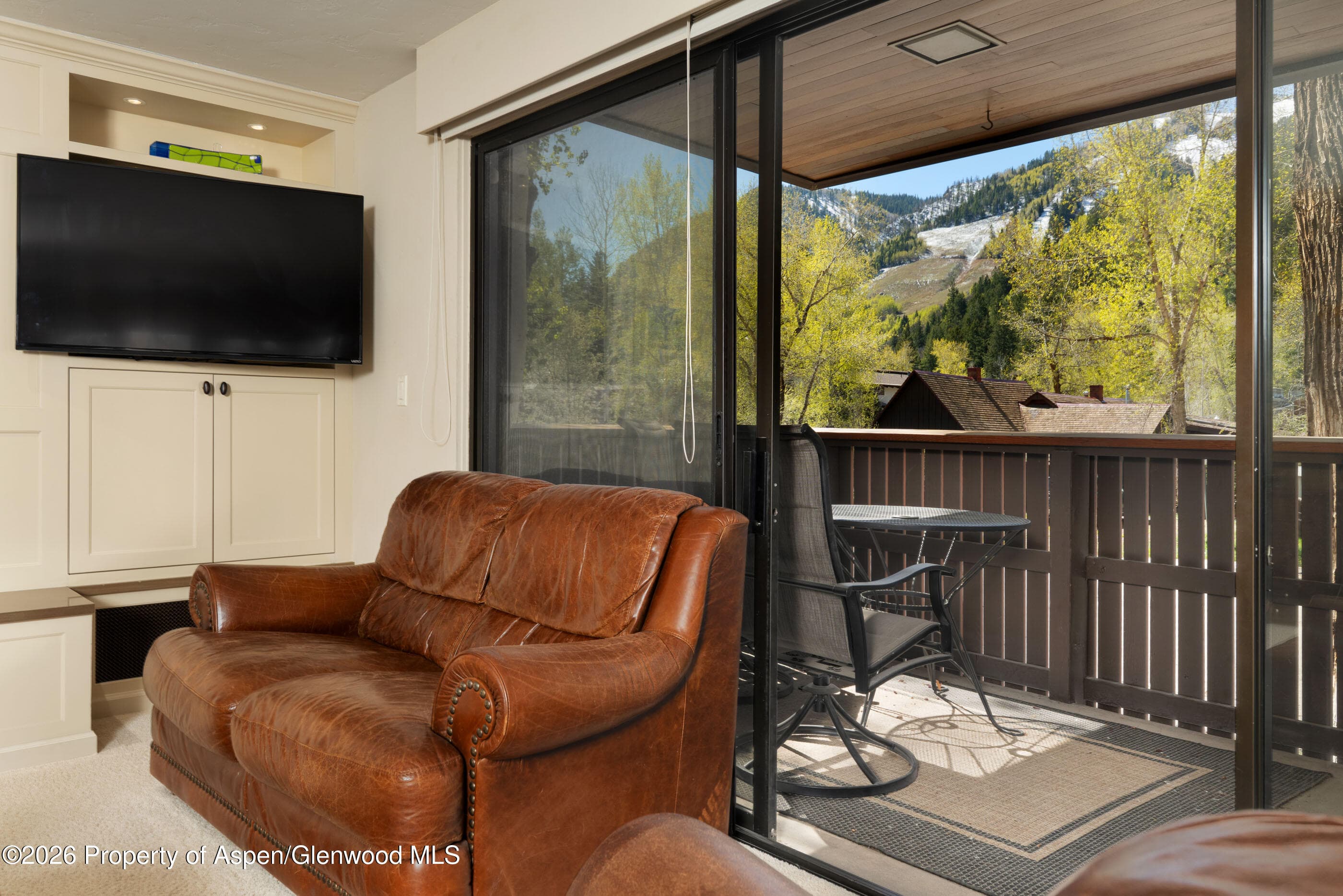 400 W Hopkins Avenue 5, Aspen, CO 81611 - Photo 2
