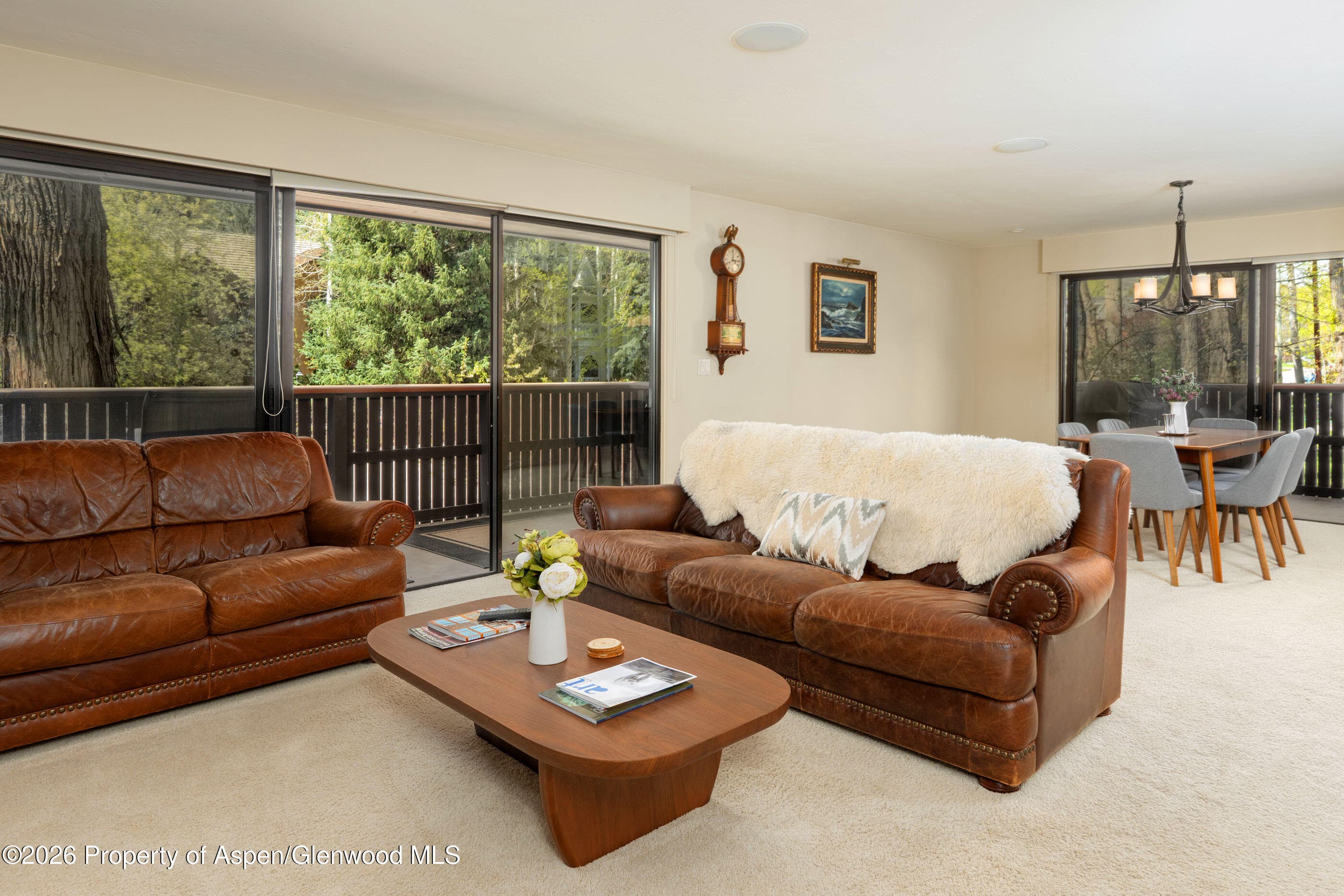 400 W Hopkins Avenue 5, Aspen, CO 81611 - Photo 4