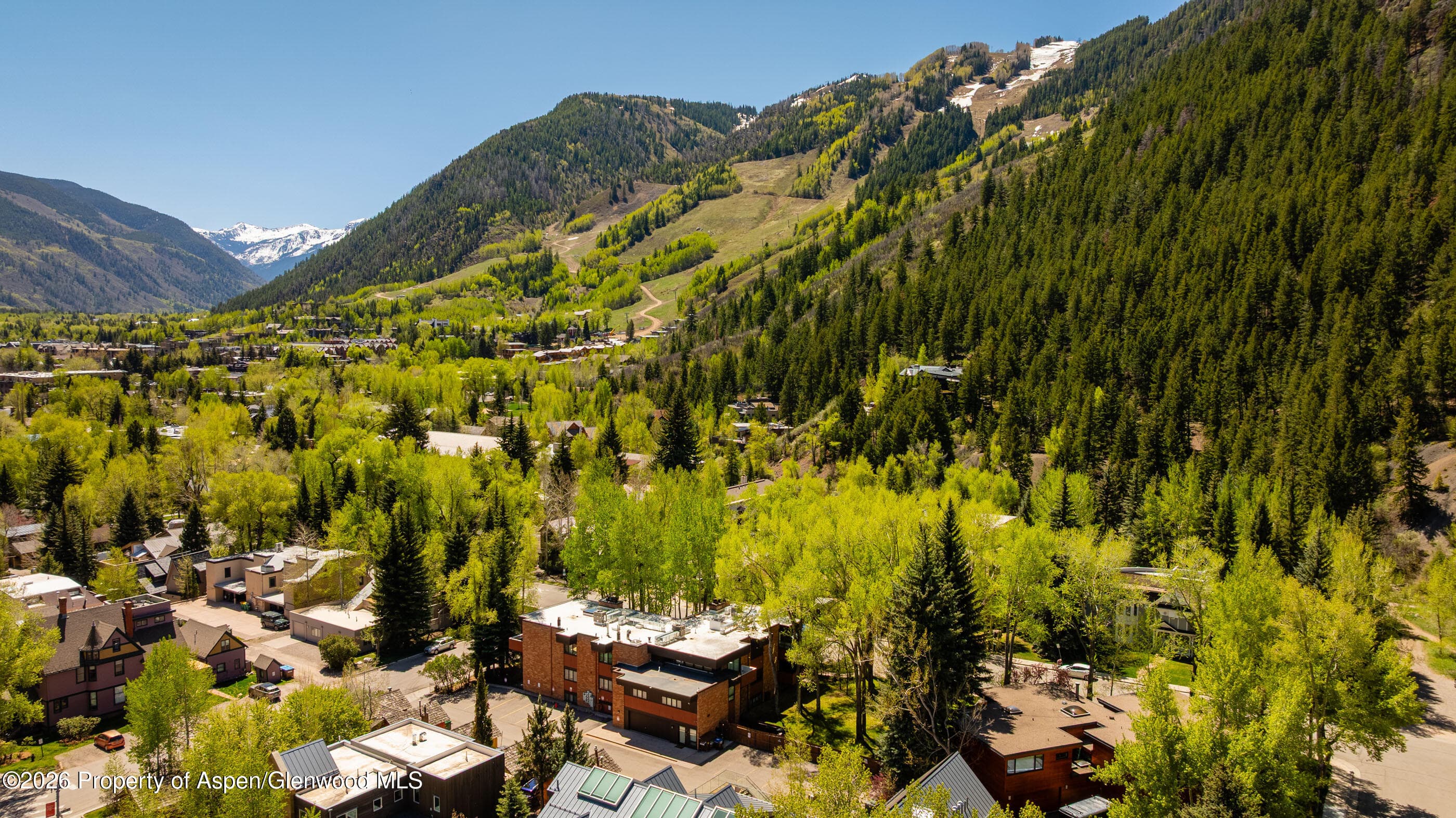 400 W Hopkins Avenue 5, Aspen, CO 81611 - Photo 19