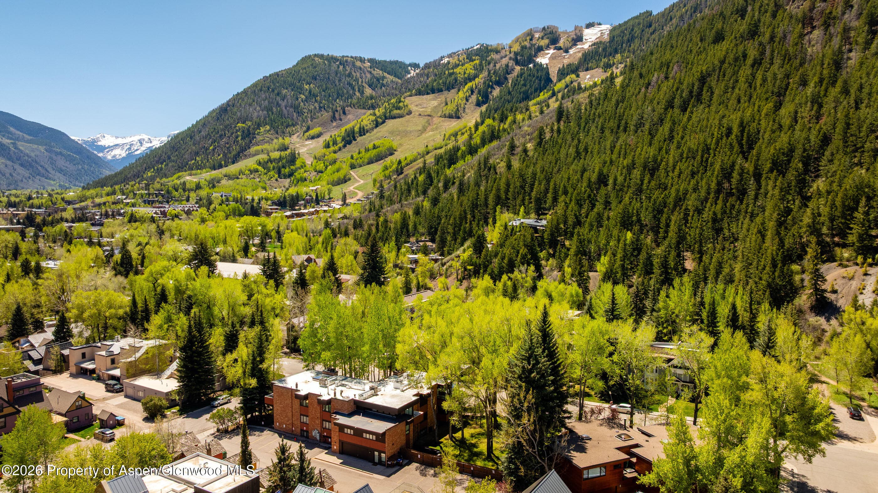 400 W Hopkins Avenue 5, Aspen, CO 81611 - Photo 23