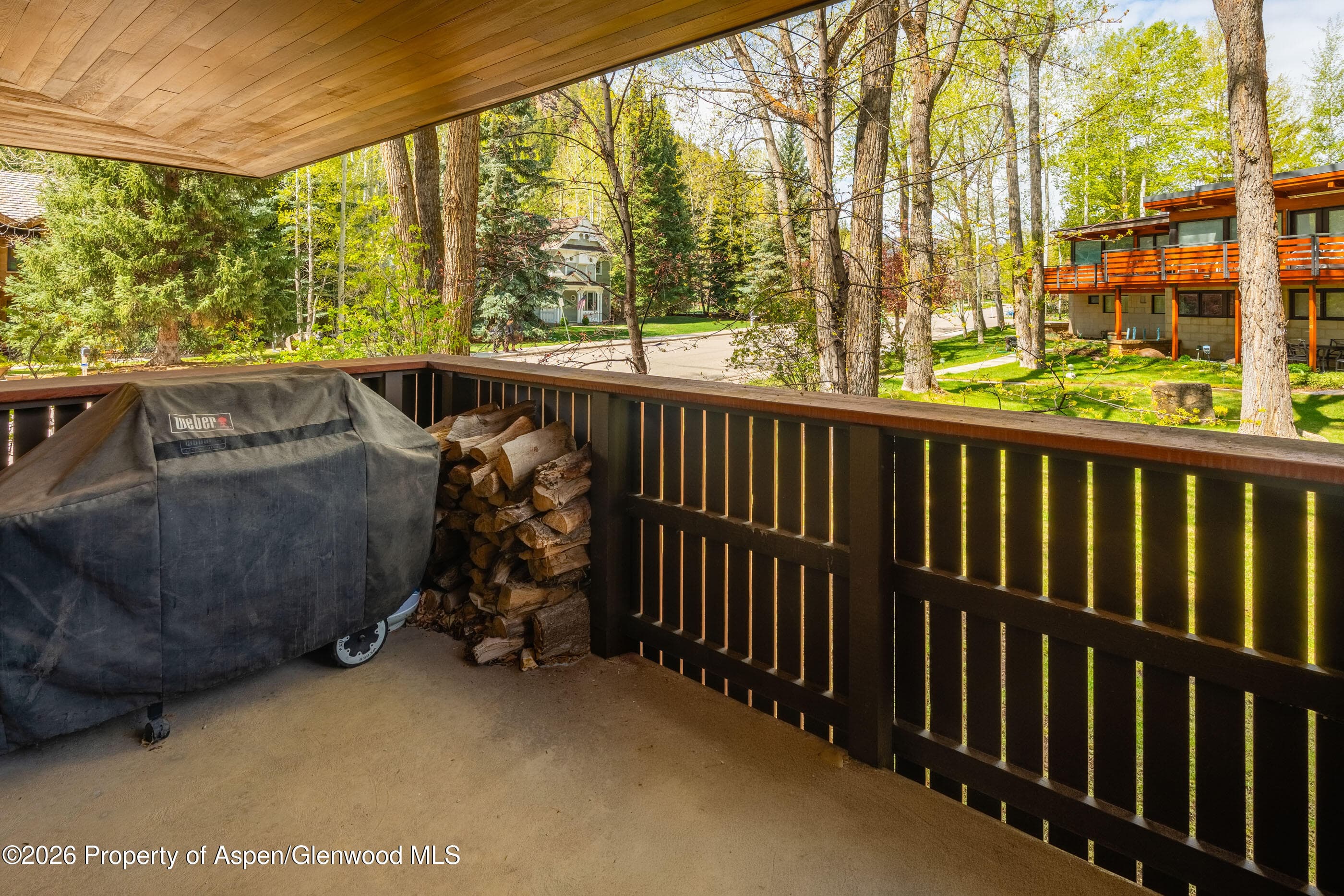 400 W Hopkins Avenue 5, Aspen, CO 81611 - Photo 31