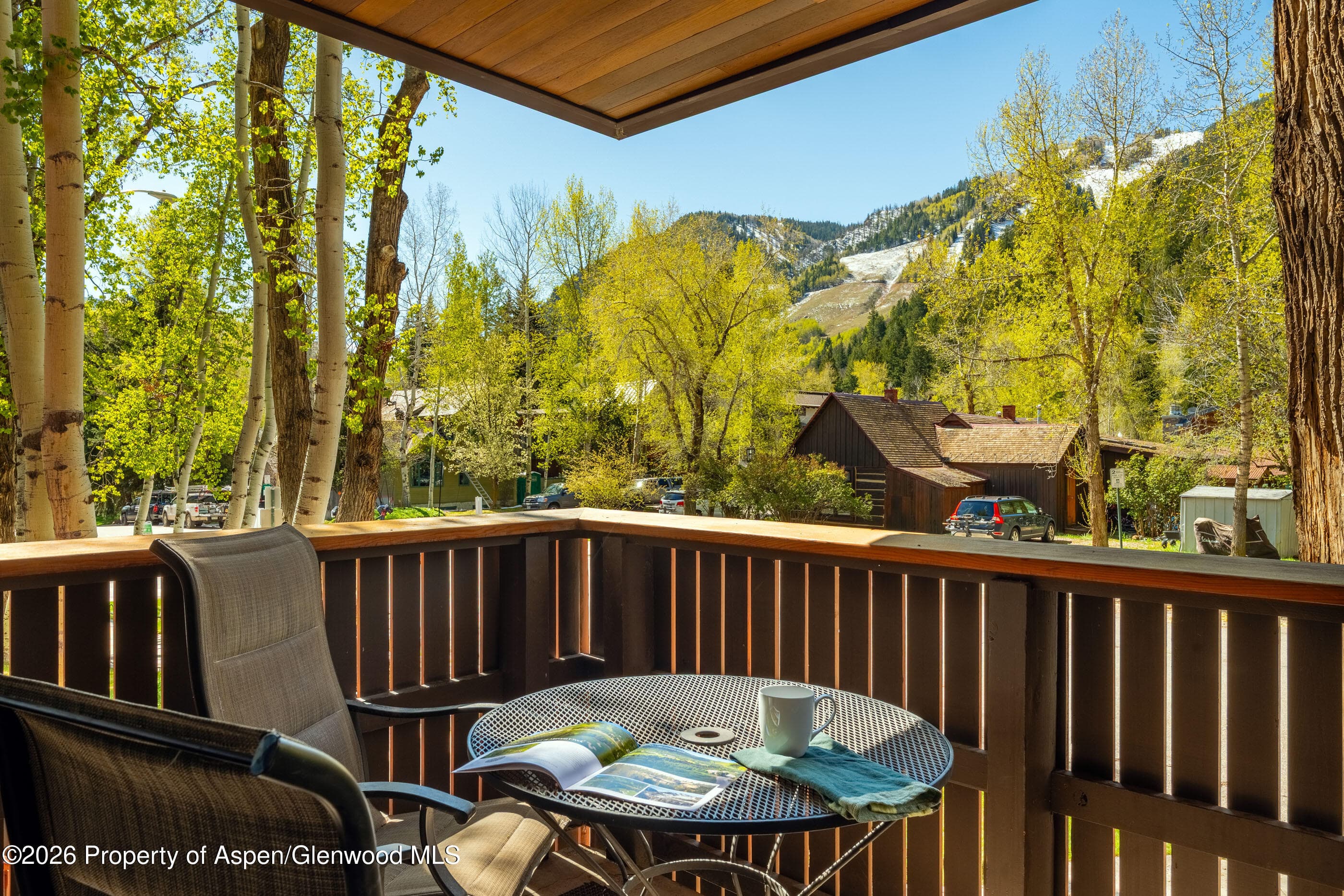 400 W Hopkins Avenue 5, Aspen, CO 81611 - Photo 29