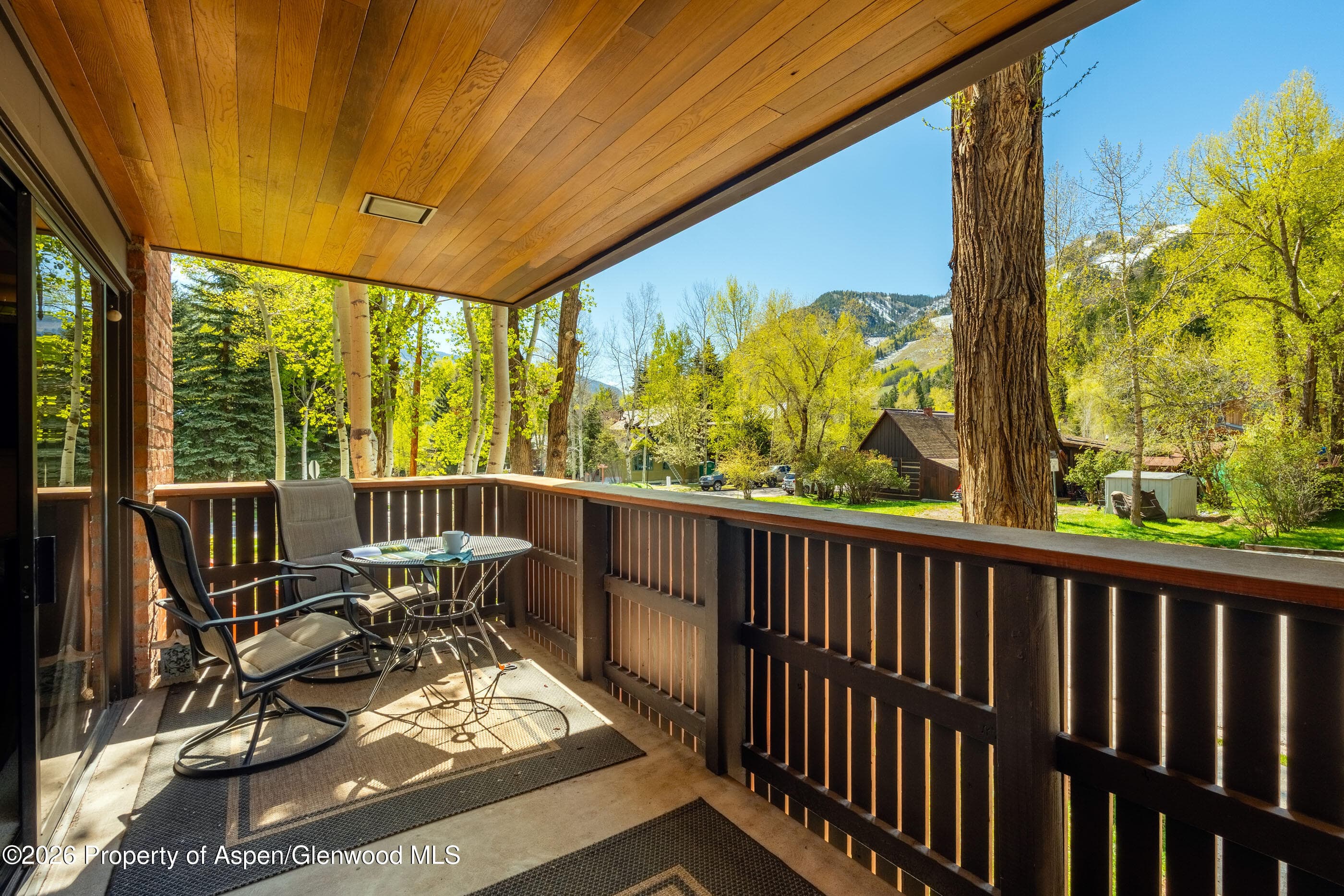 400 W Hopkins Avenue 5, Aspen, CO 81611 - Photo 3