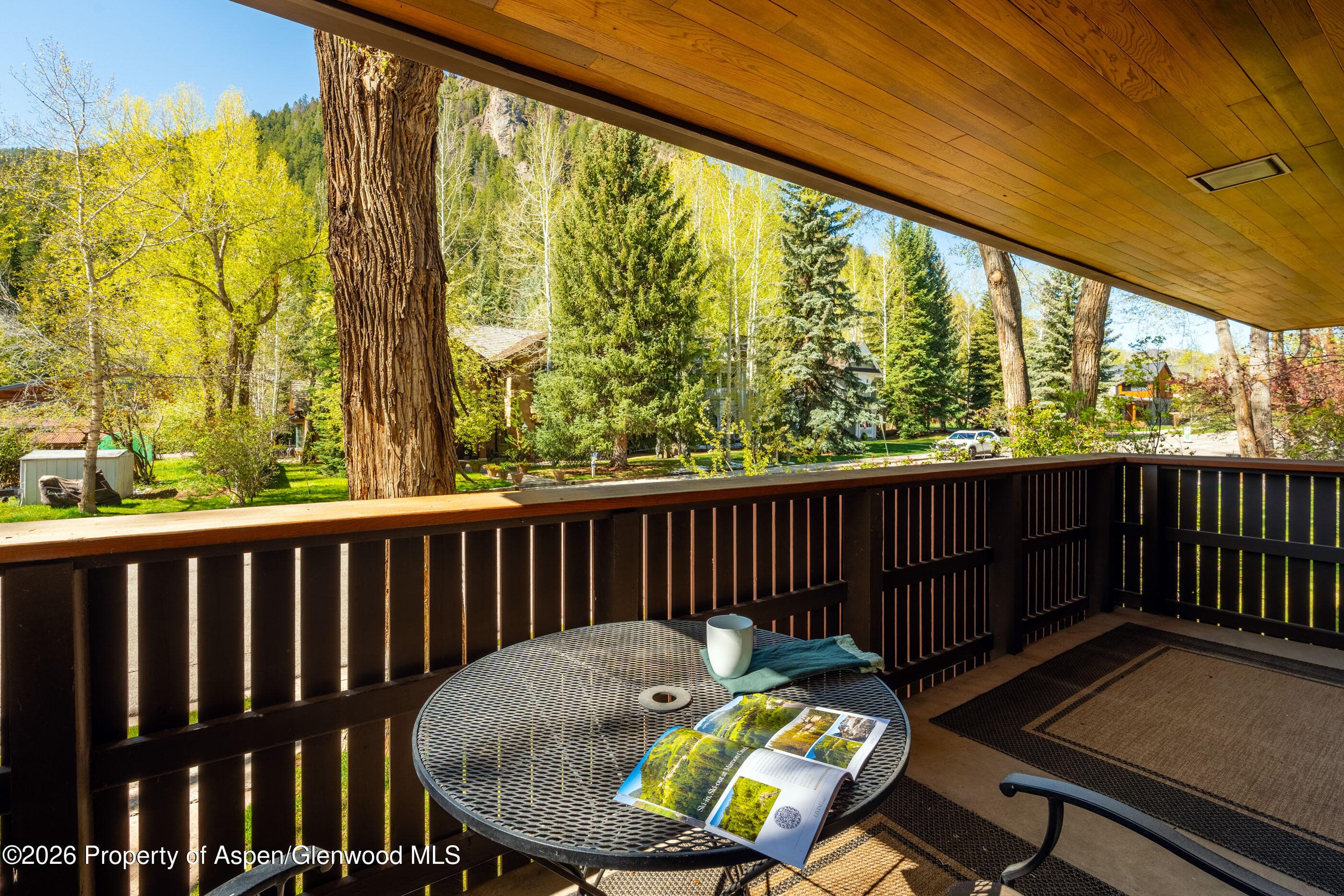 400 W Hopkins Avenue 5, Aspen, CO 81611 - Photo 30
