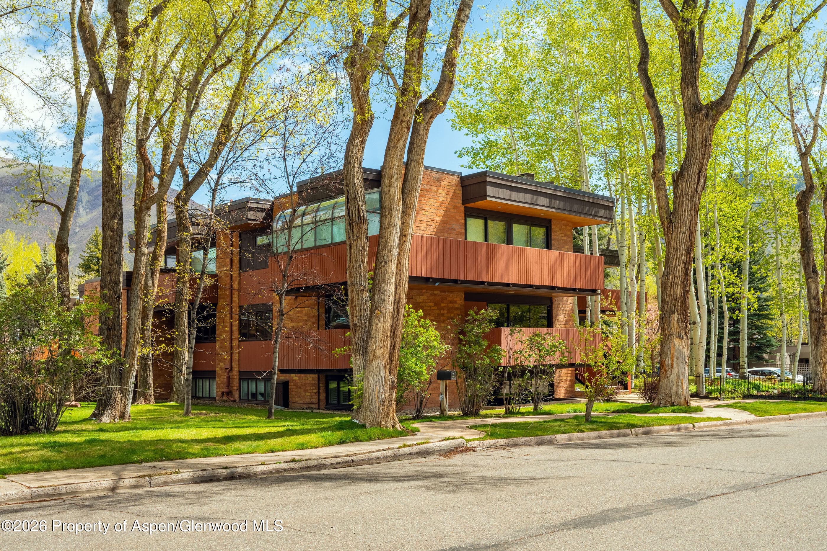 400 W Hopkins Avenue 5, Aspen, CO 81611 - Photo 36