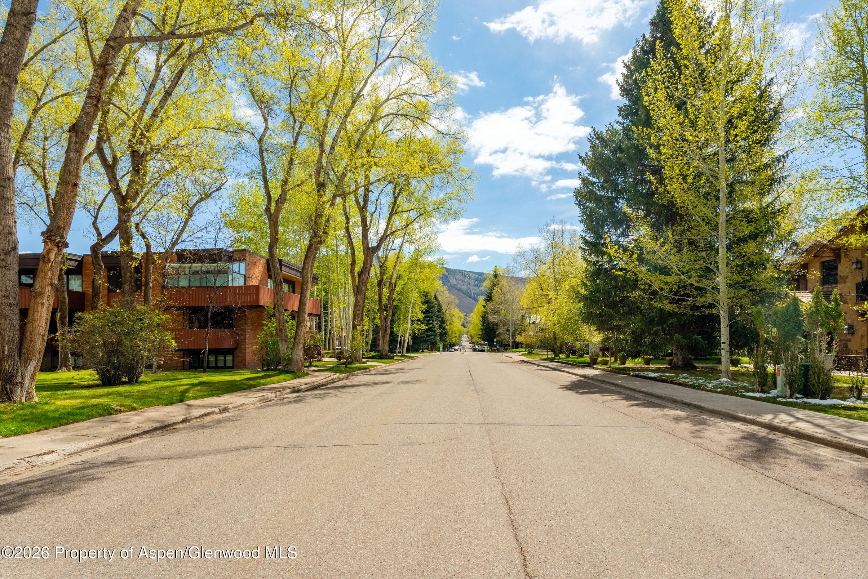 400 W Hopkins Avenue 5, Aspen, CO 81611 - Photo 39