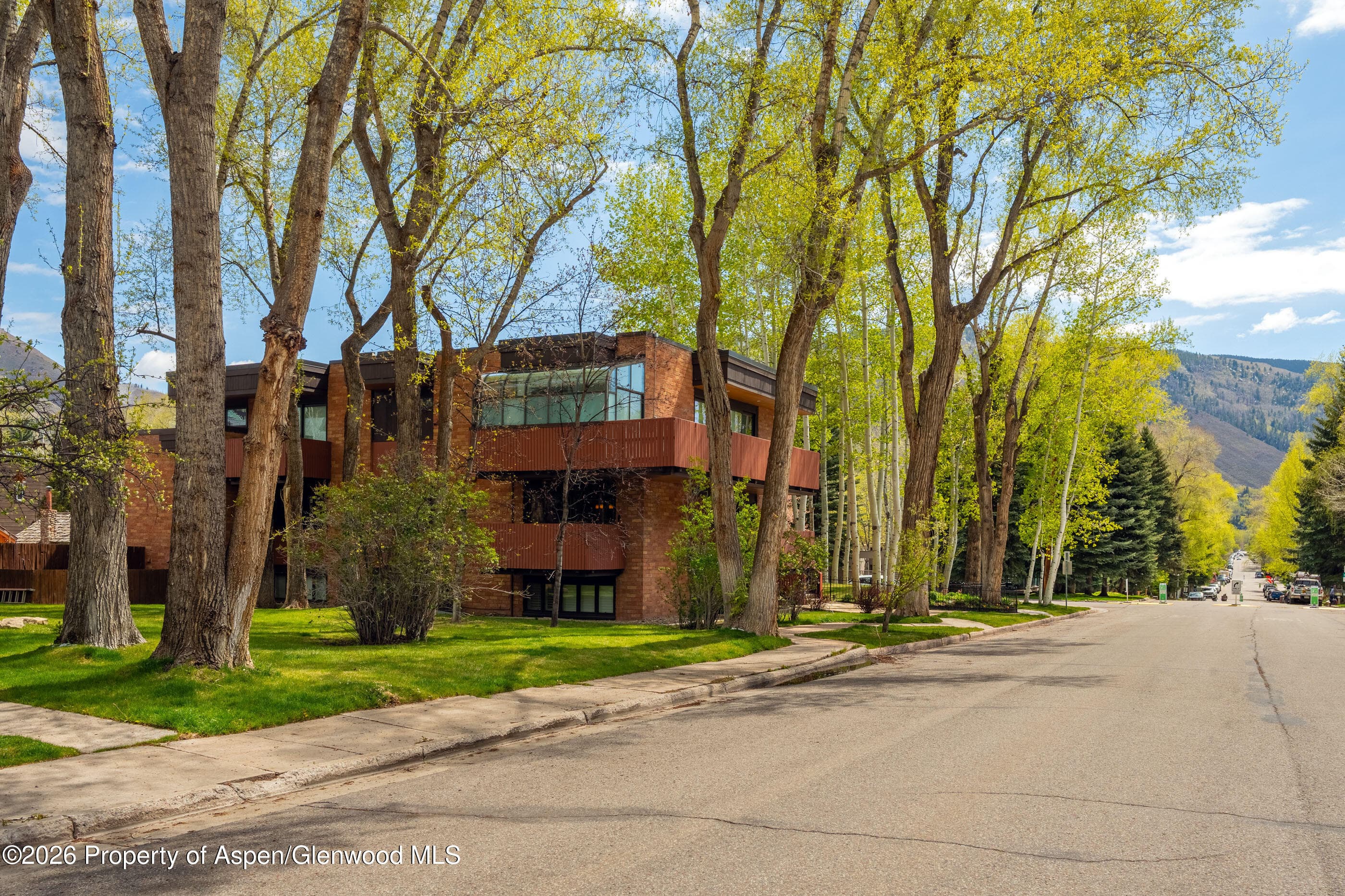 400 W Hopkins Avenue 5, Aspen, CO 81611 - Photo 38
