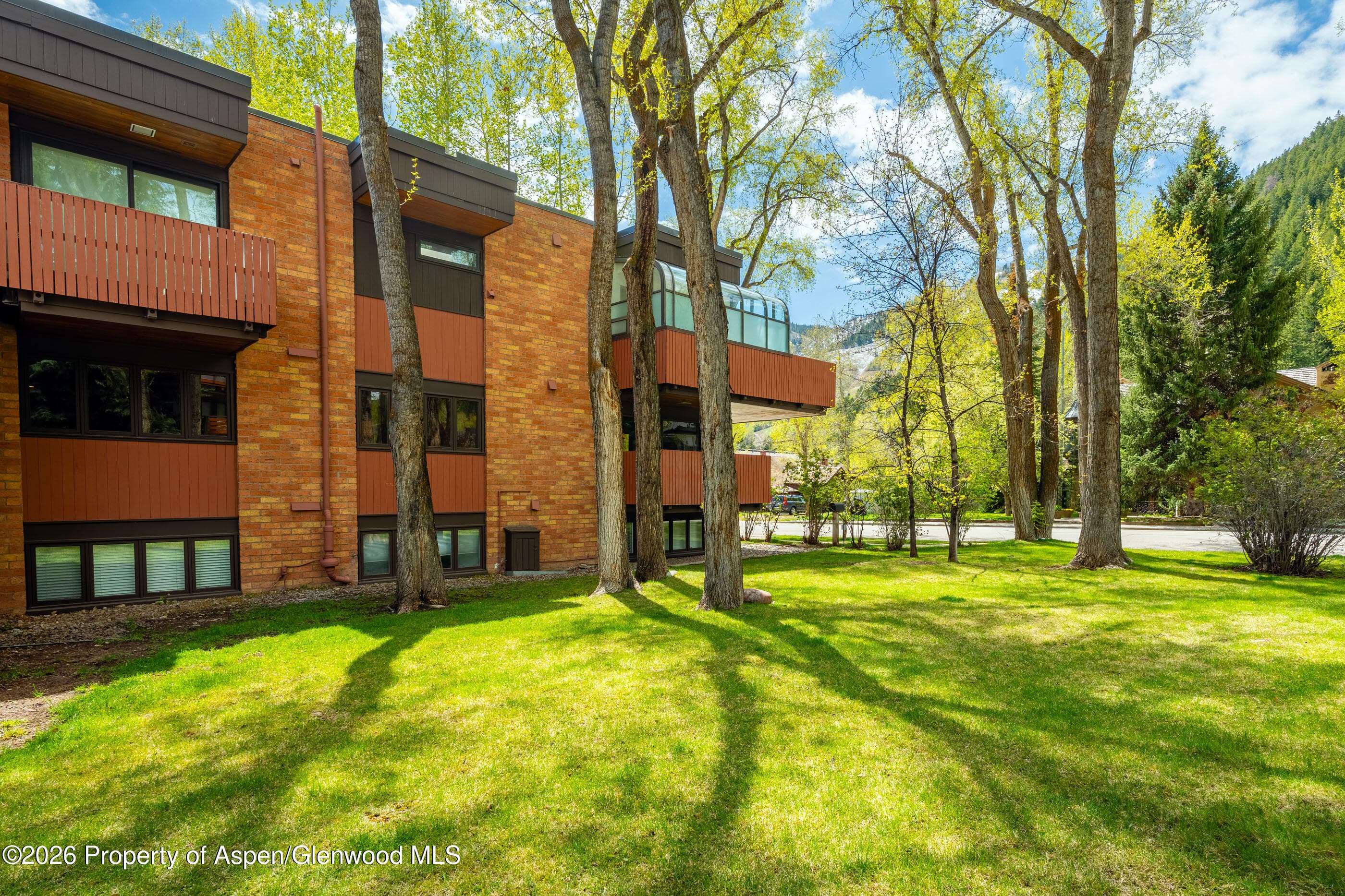 400 W Hopkins Avenue 5, Aspen, CO 81611 - Photo 40