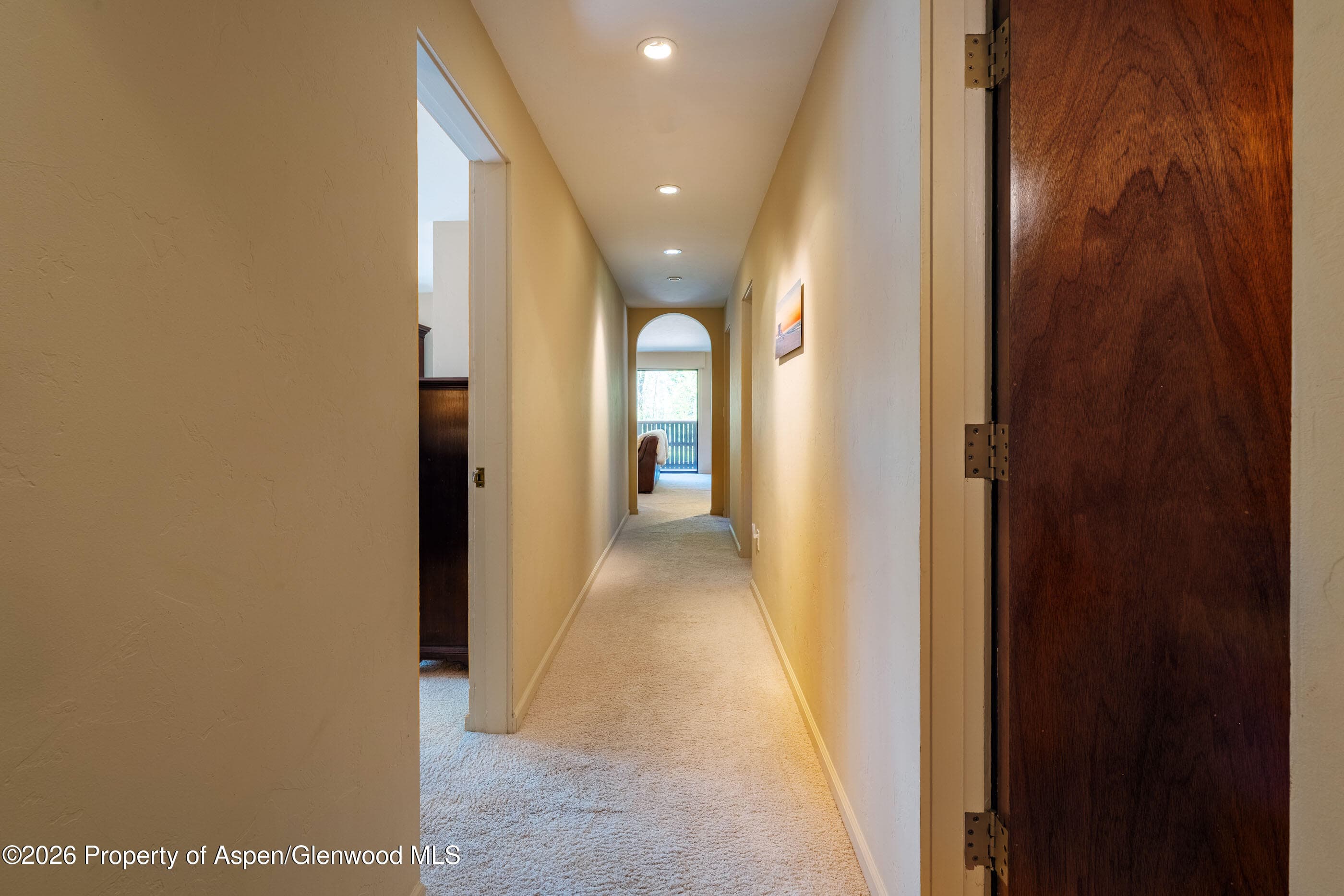 400 W Hopkins Avenue 5, Aspen, CO 81611 - Photo 10
