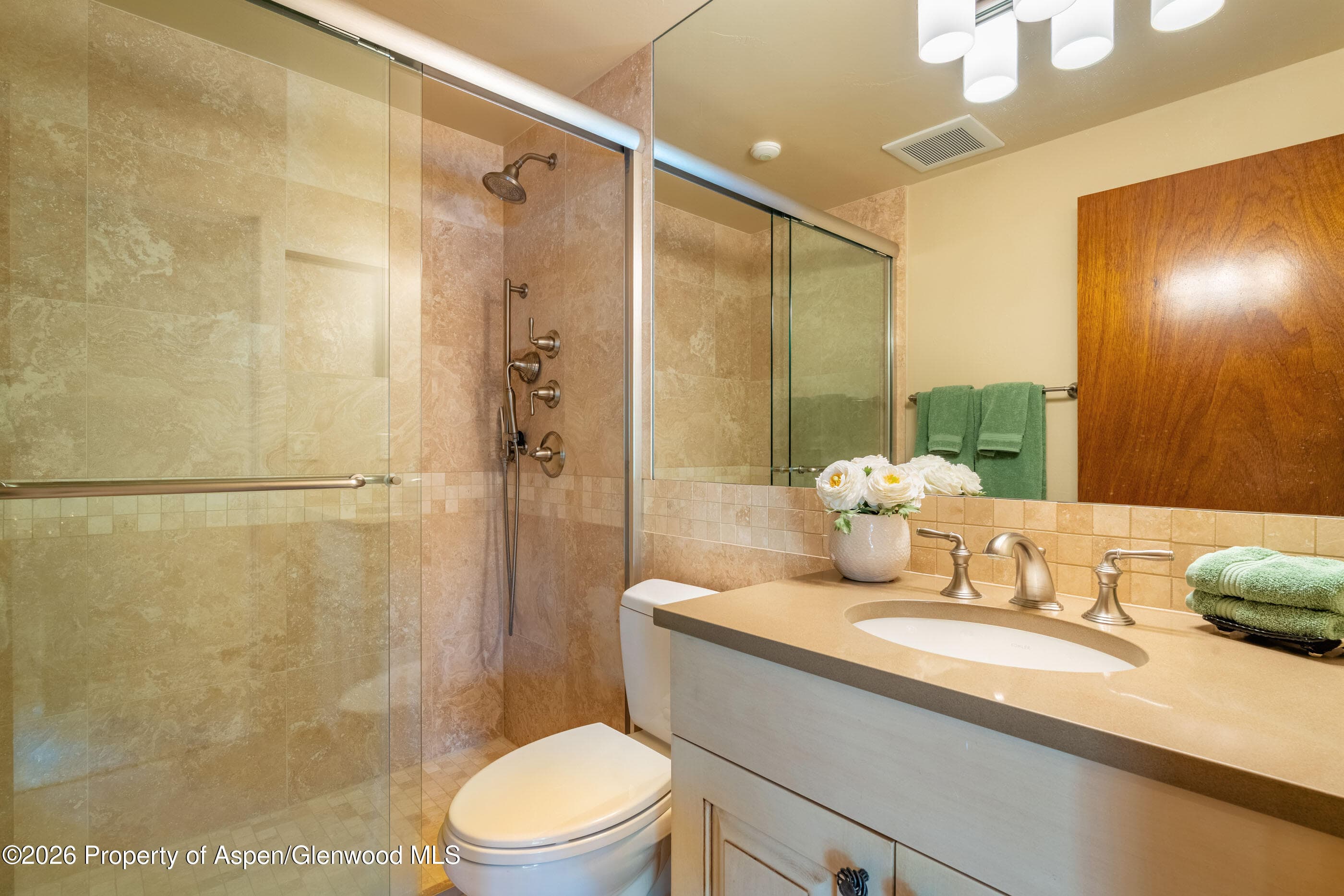400 W Hopkins Avenue 5, Aspen, CO 81611 - Photo 15