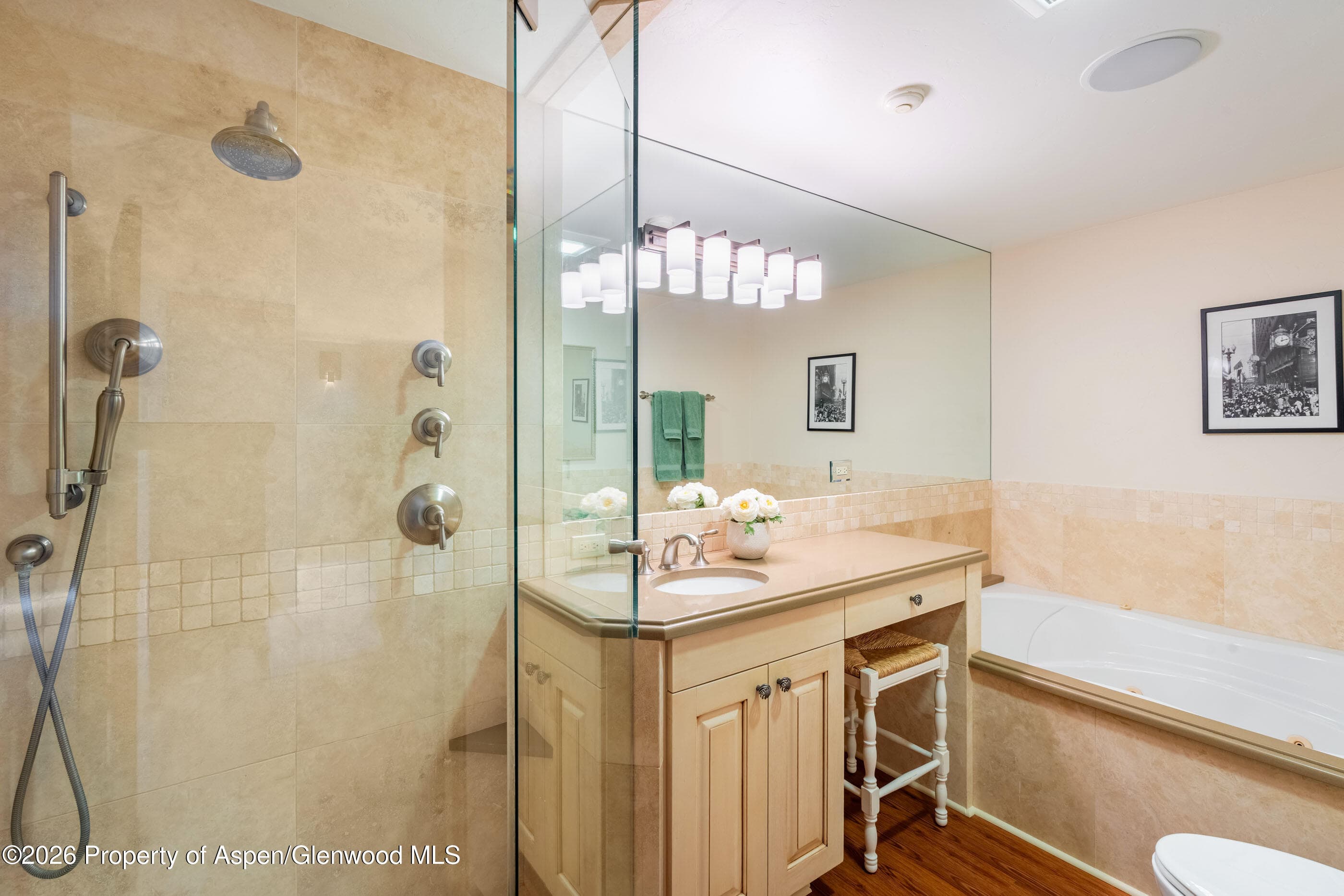 400 W Hopkins Avenue 5, Aspen, CO 81611 - Photo 13