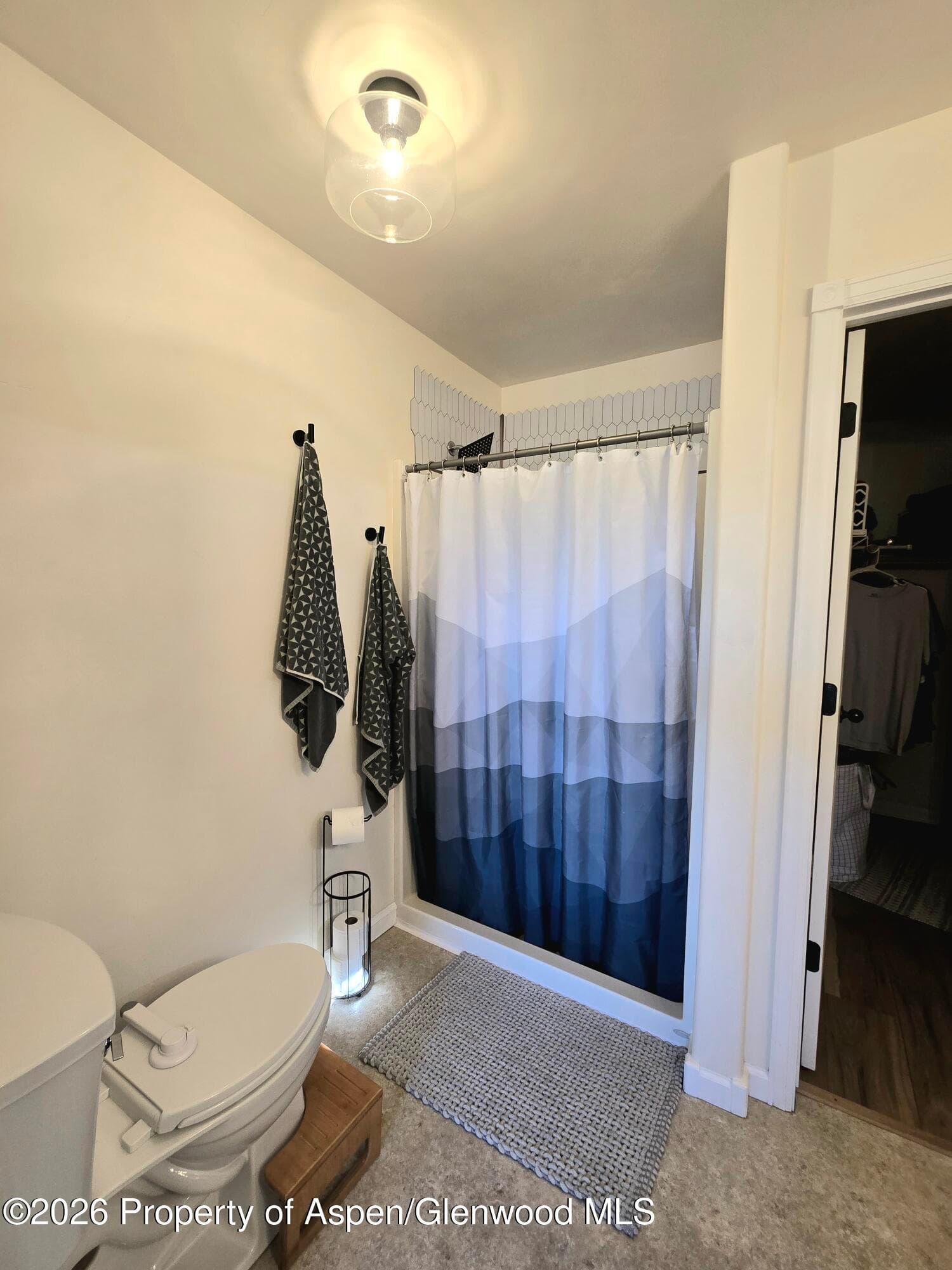 1035 E 18th Street, Rifle, CO 81650 - Photo 33