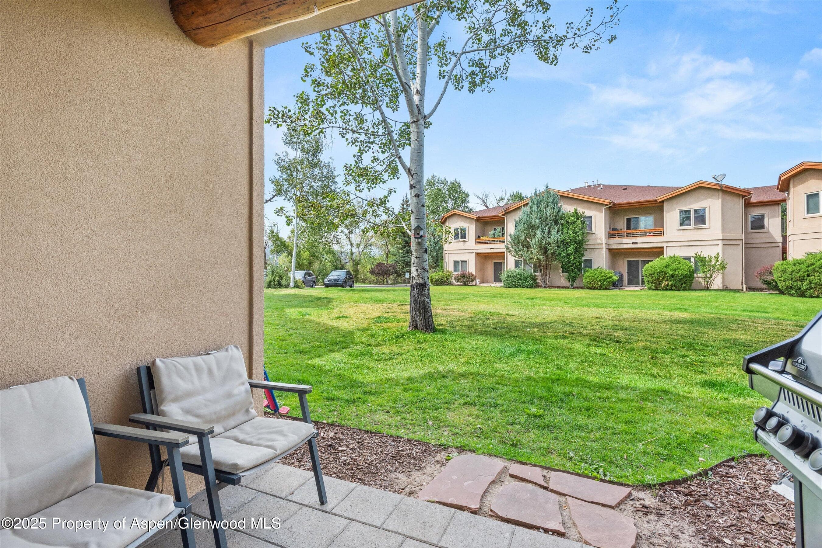 1400 E Valley Road 115, Basalt, CO 81621 - Photo 6