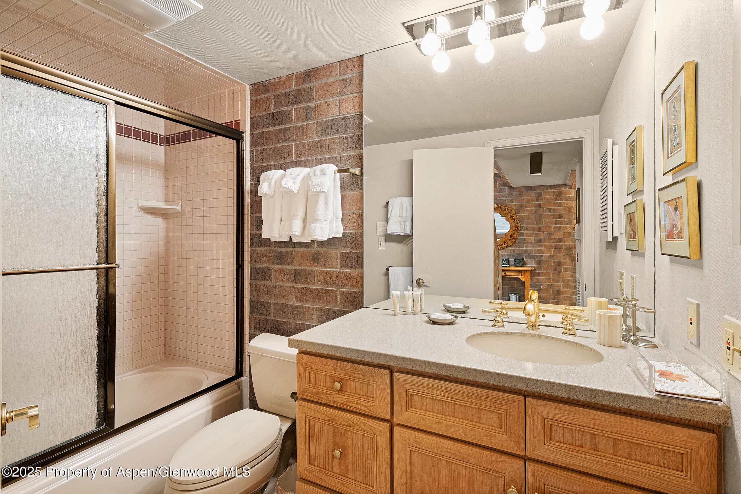 625 S West End Street Unit 12, Aspen, CO 81611 - Photo 17