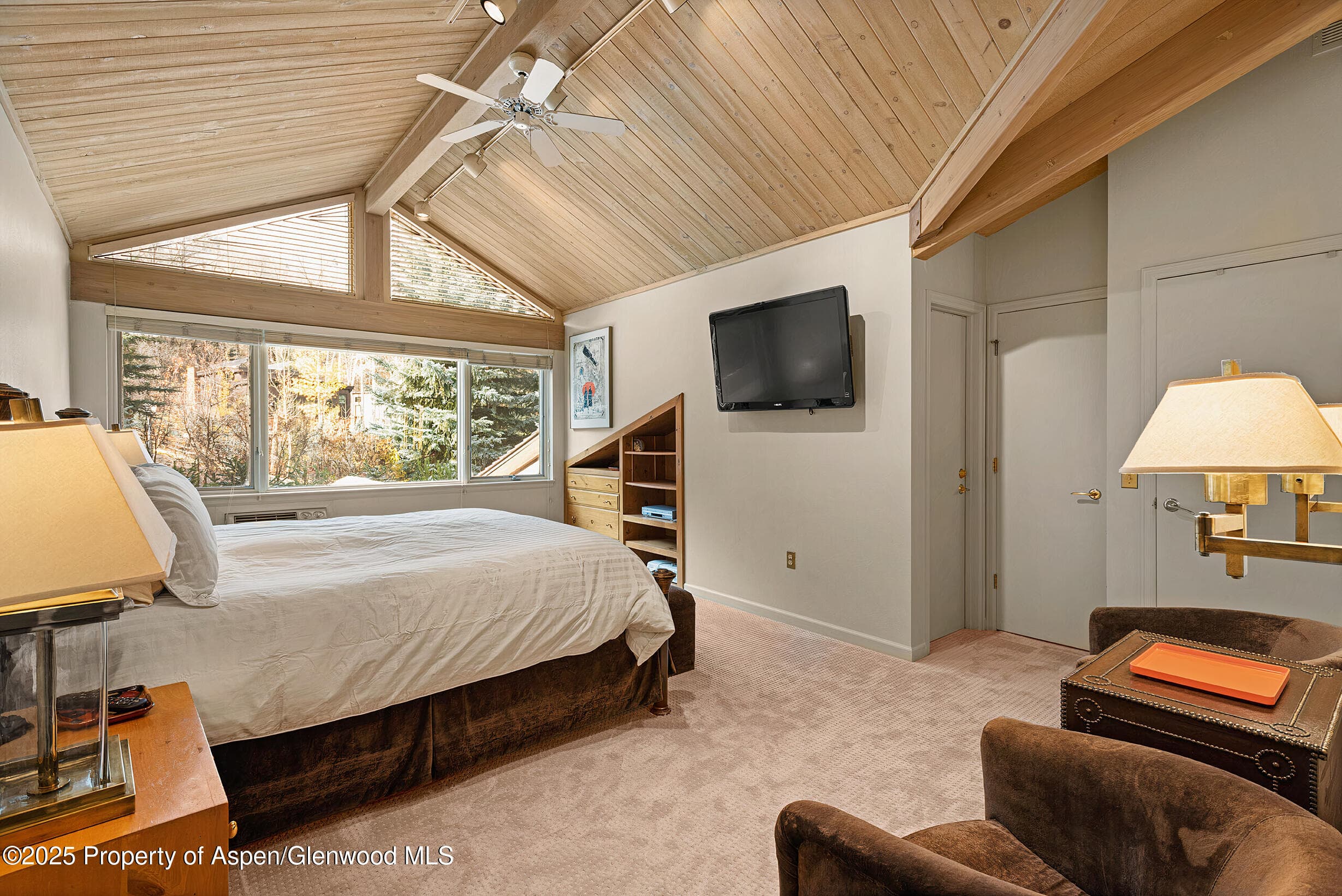 625 S West End Street Unit 12, Aspen, CO 81611 - Photo 12