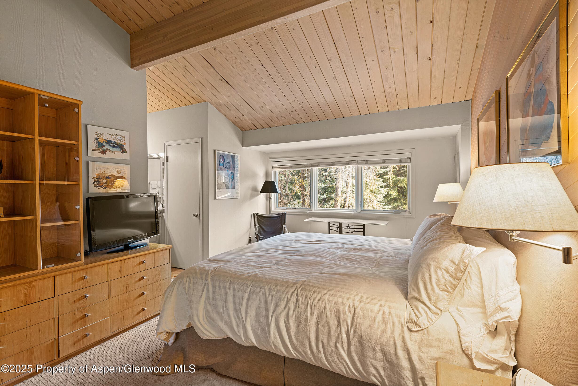 625 S West End Street Unit 12, Aspen, CO 81611 - Photo 13