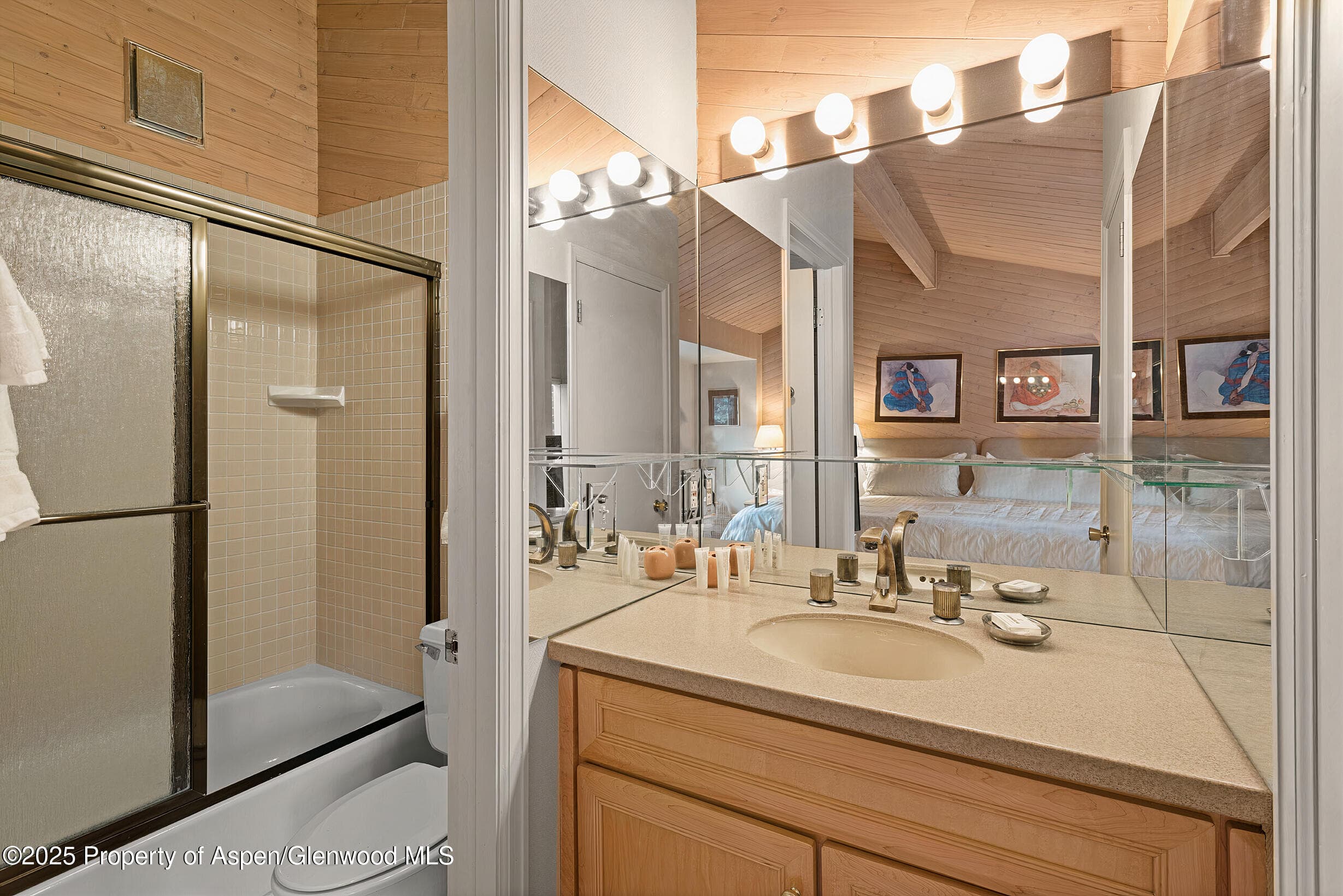 625 S West End Street Unit 12, Aspen, CO 81611 - Photo 18
