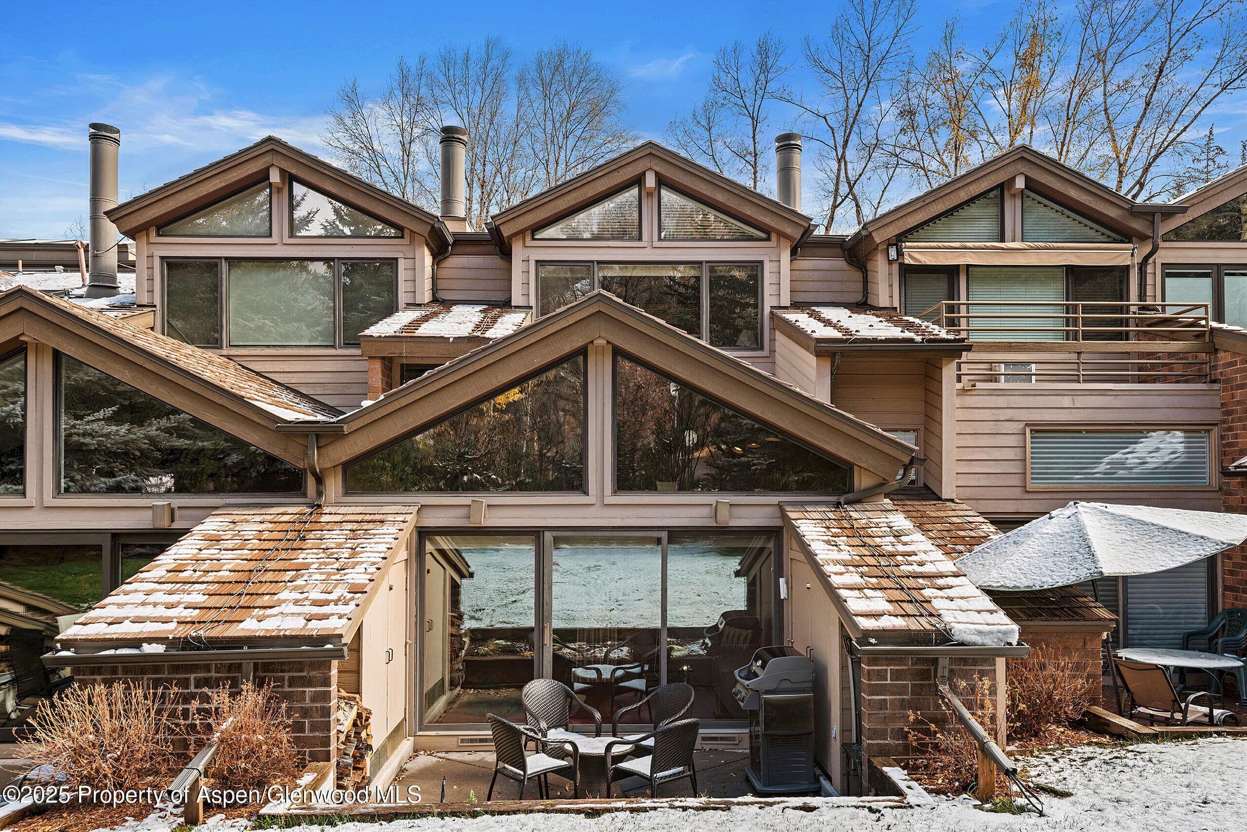 625 S West End Street Unit 12, Aspen, CO 81611 - Photo 19
