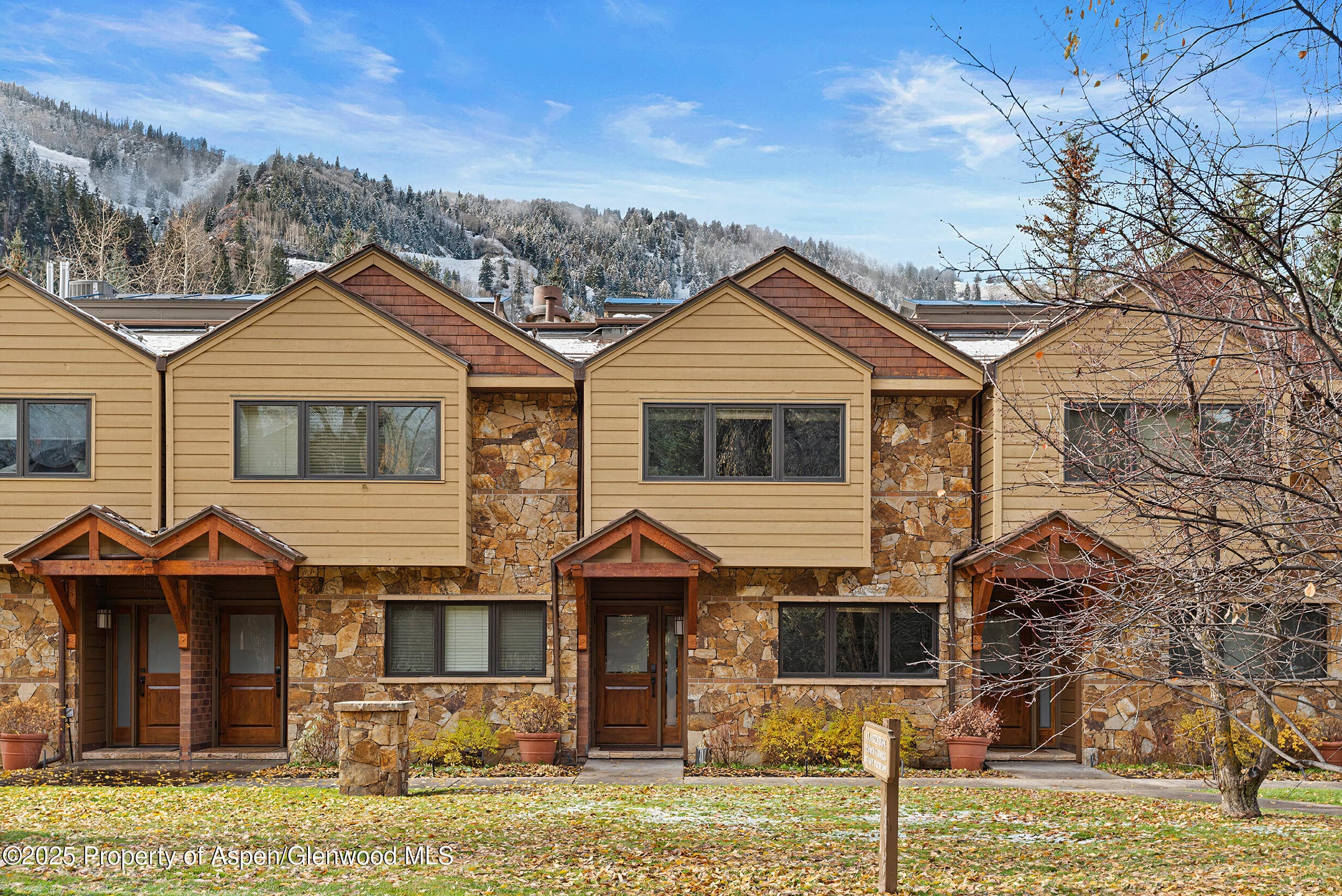 625 S West End Street Unit 12, Aspen, CO 81611 - Photo 15