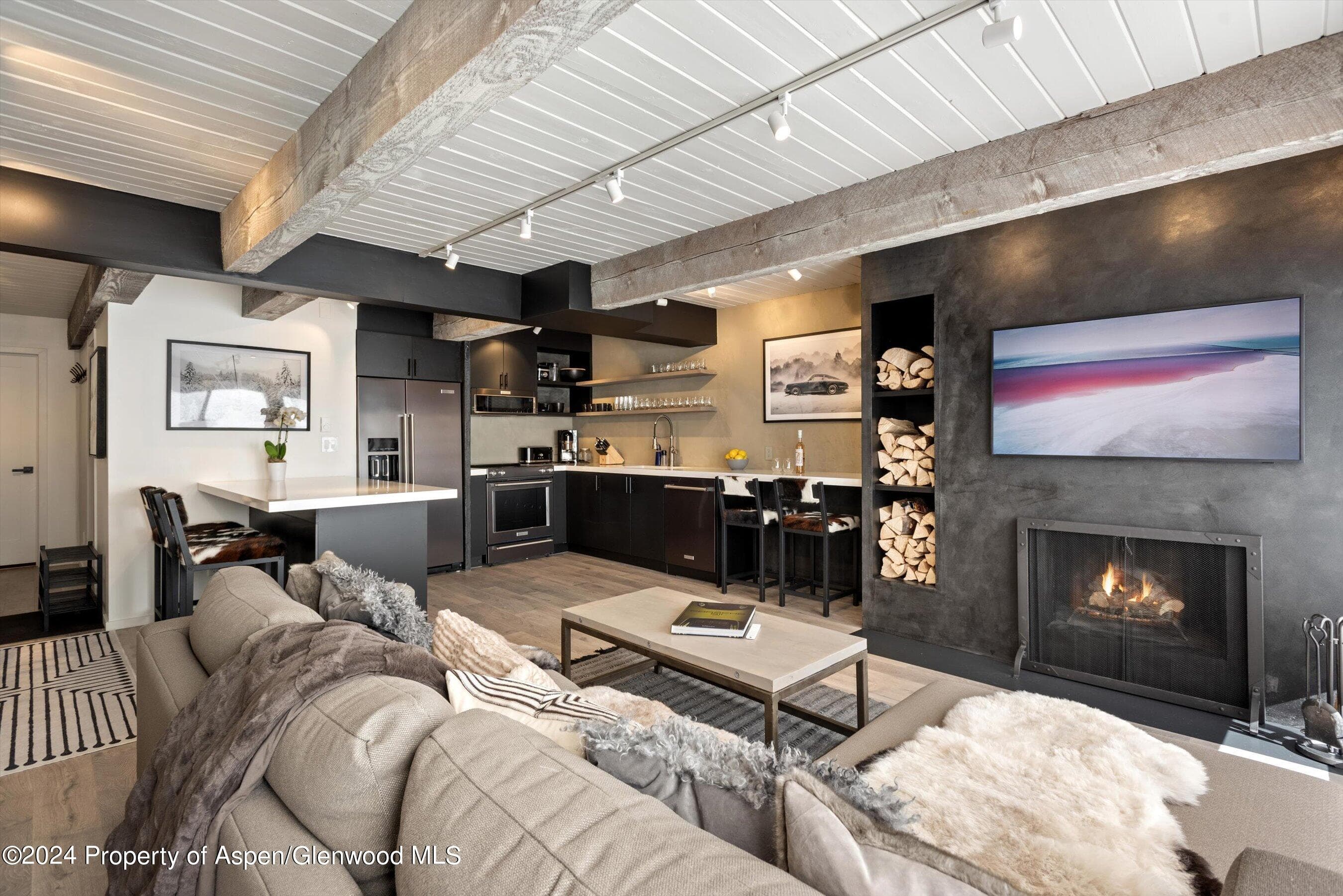 1039 E Cooper Avenue 19b, Aspen, CO 81611 - Photo 5