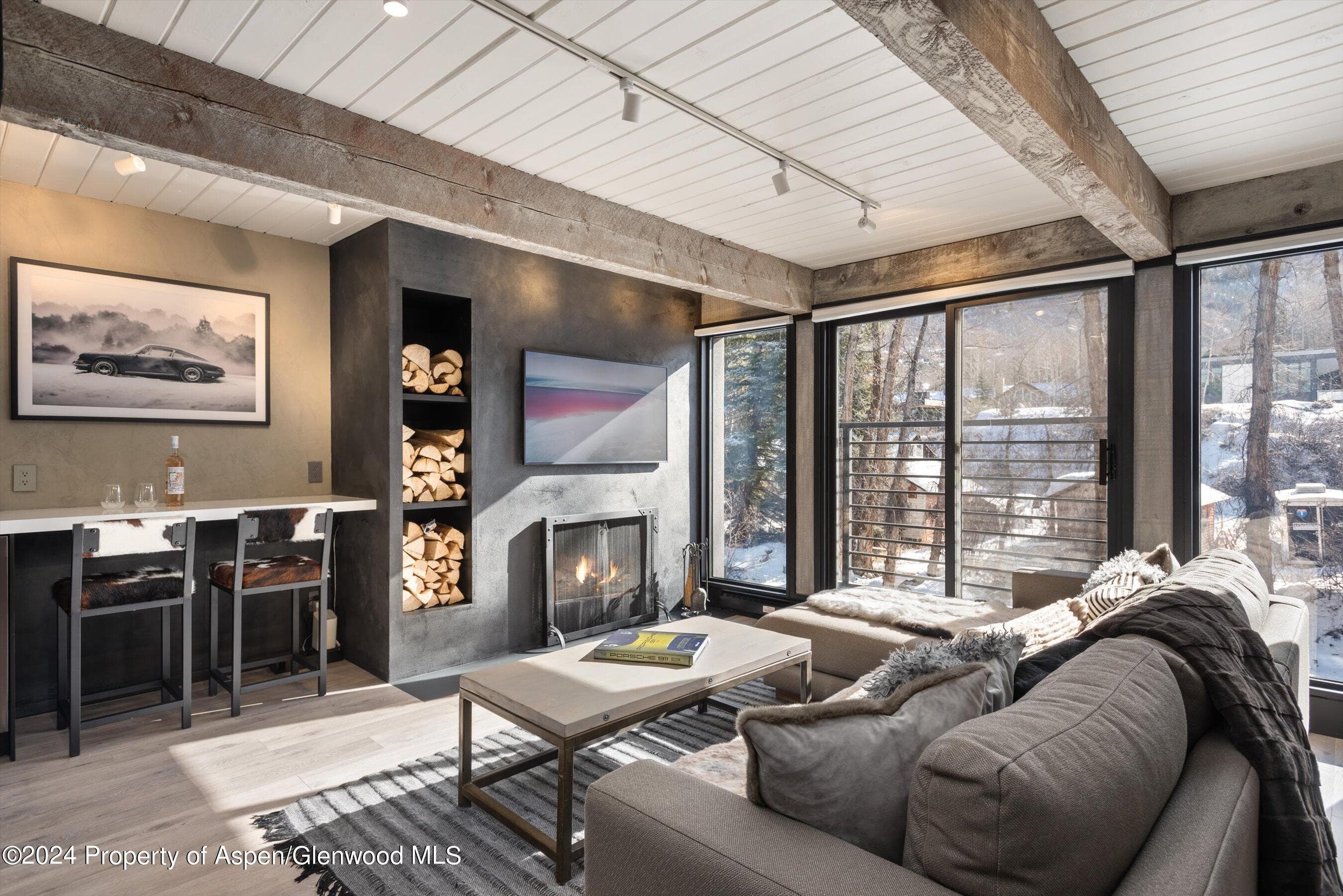 1039 E Cooper Avenue 19b, Aspen, CO 81611 - Photo 2