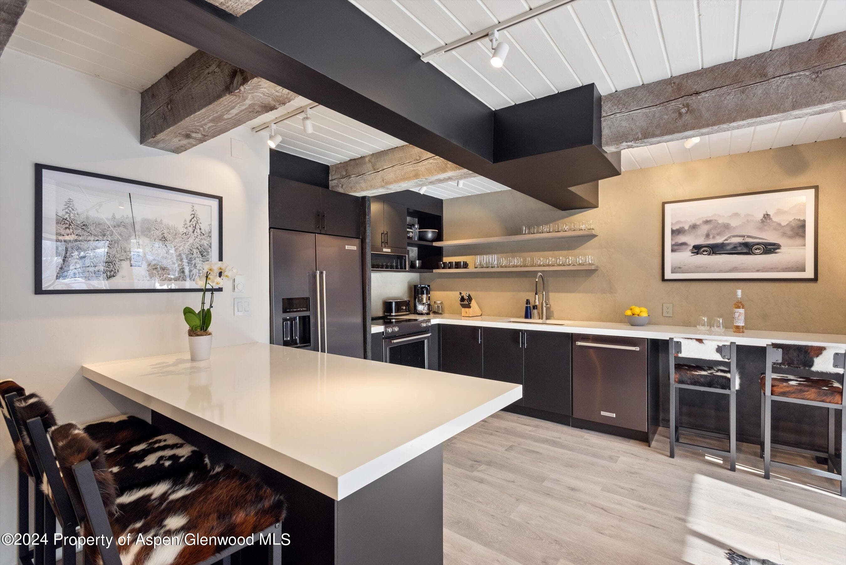 1039 E Cooper Avenue 19b, Aspen, CO 81611 - Photo 7