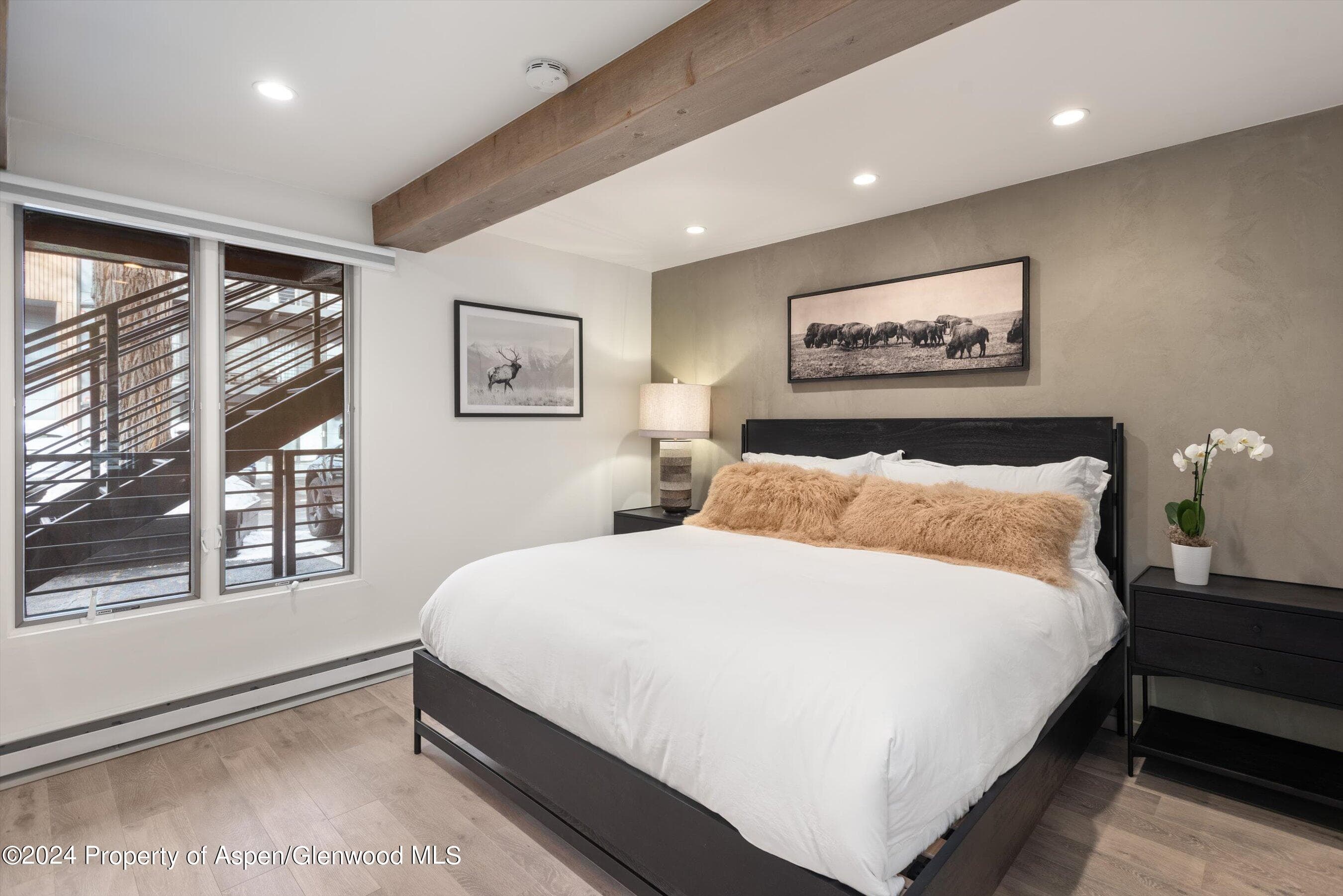 1039 E Cooper Avenue 19b, Aspen, CO 81611 - Photo 10