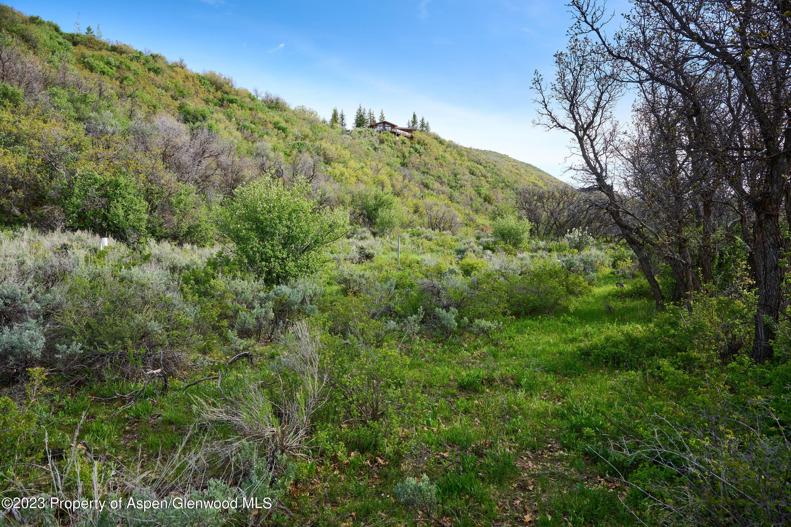 51 Shield O Road, Snowmass, CO 81654 - Photo 3