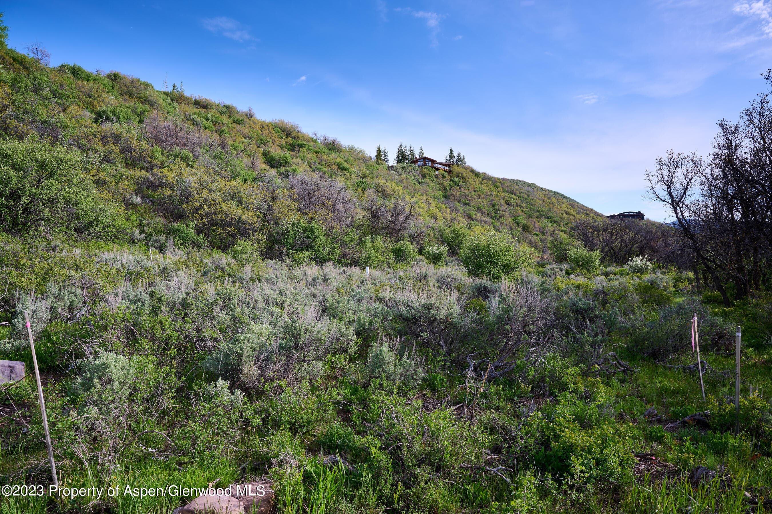 51 Shield O Road, Snowmass, CO 81654 - Photo 7