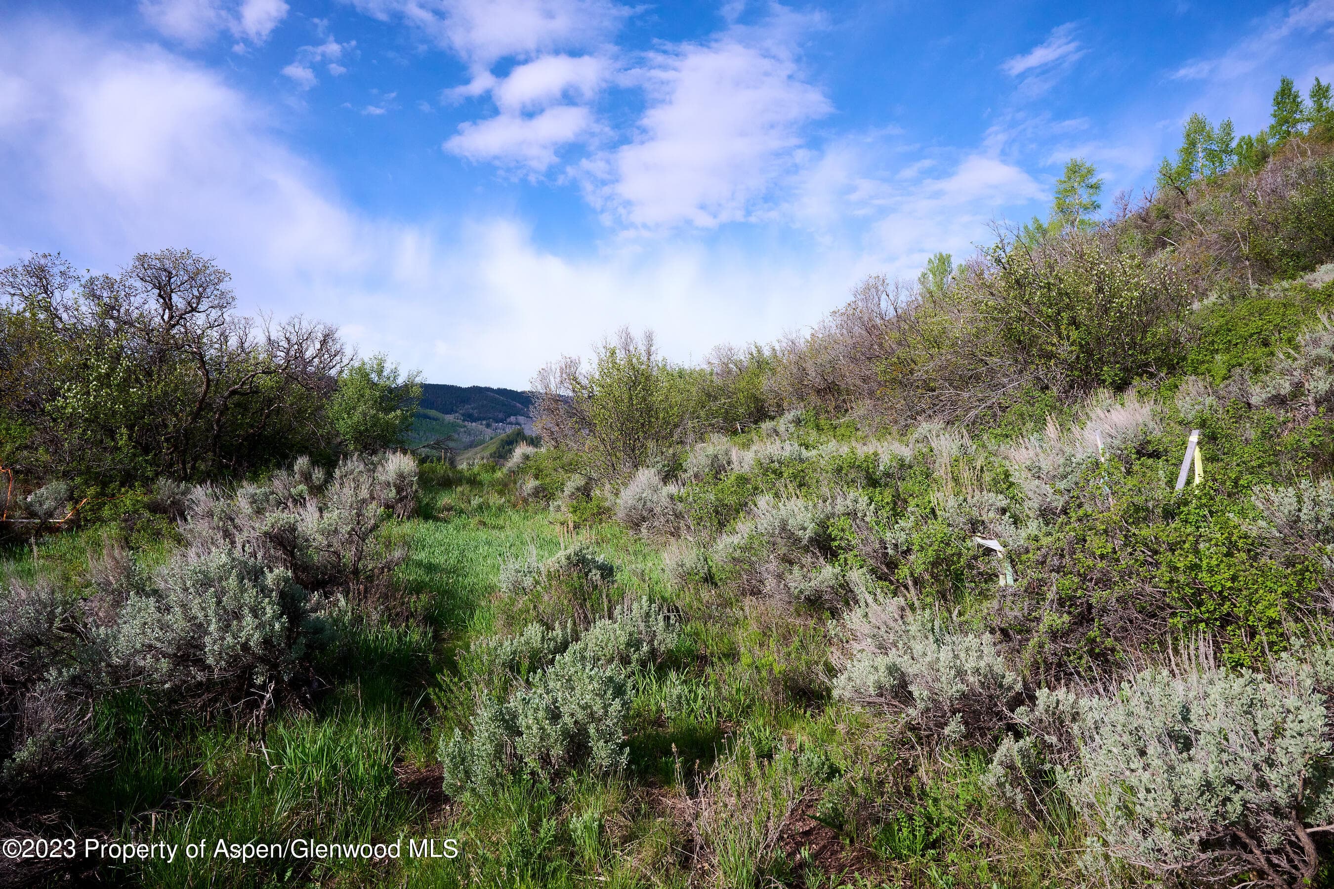 51 Shield O Road, Snowmass, CO 81654 - Photo 10