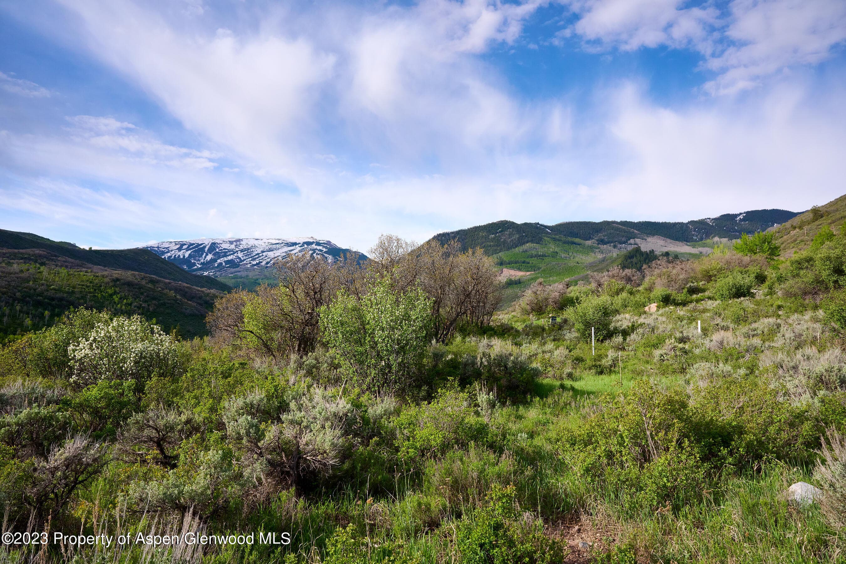 51 Shield O Road, Snowmass, CO 81654 - Photo 11