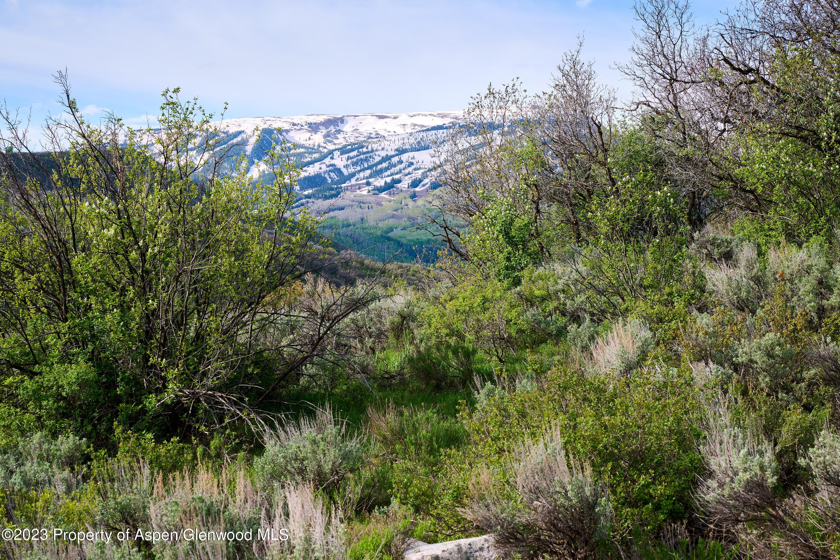 51 Shield O Road, Snowmass, CO 81654 - Photo 13