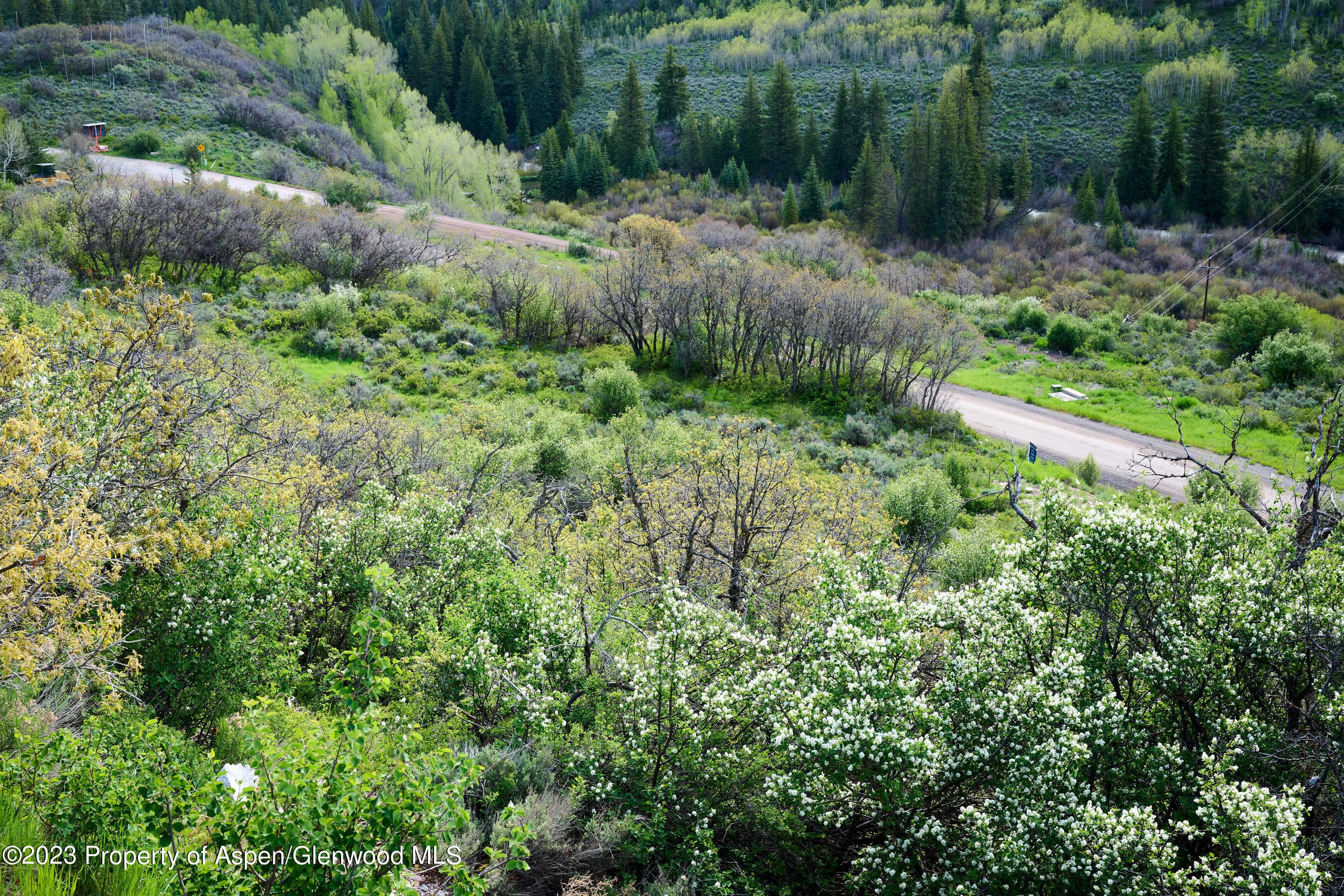 51 Shield O Road, Snowmass, CO 81654 - Photo 14