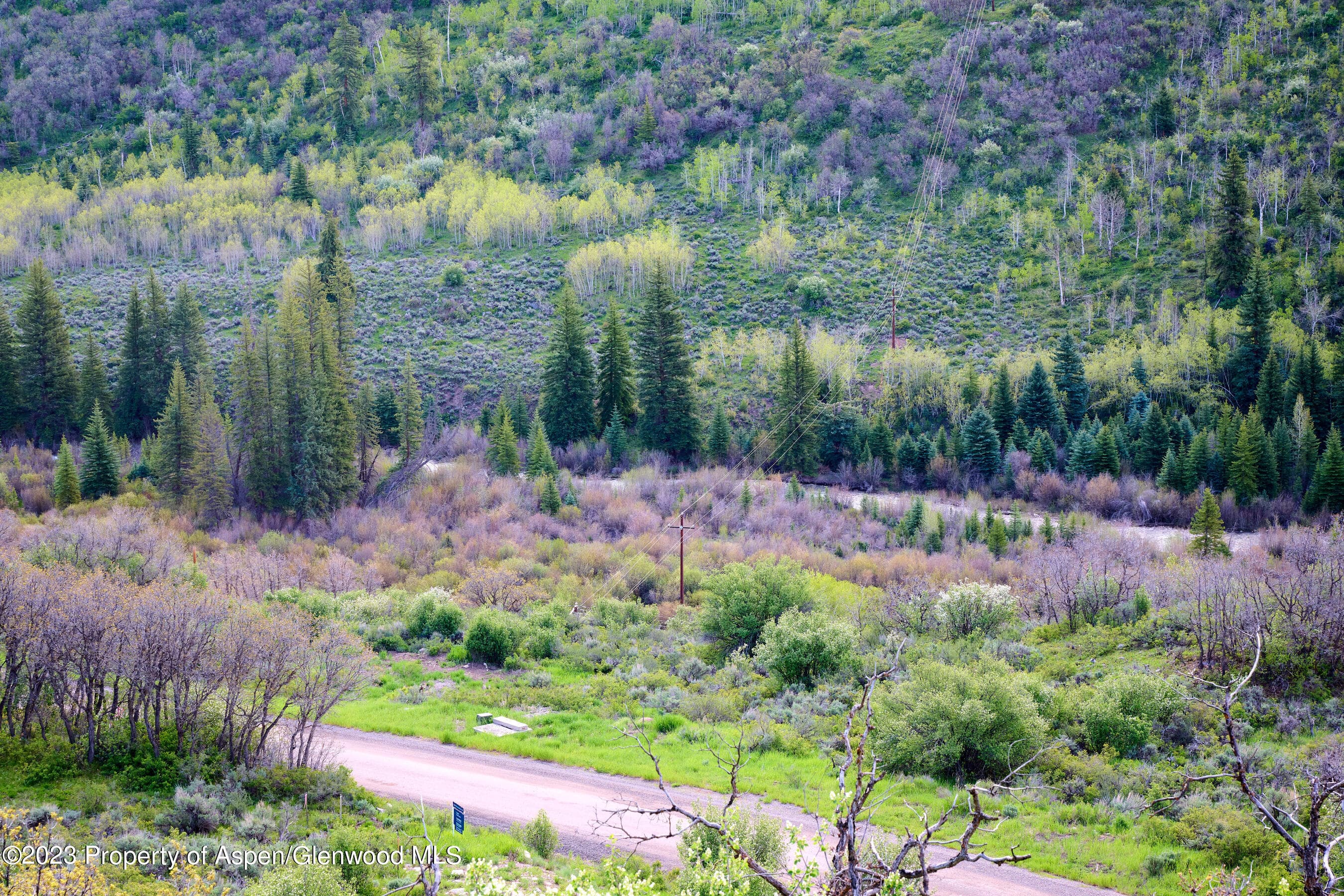 51 Shield O Road, Snowmass, CO 81654 - Photo 15