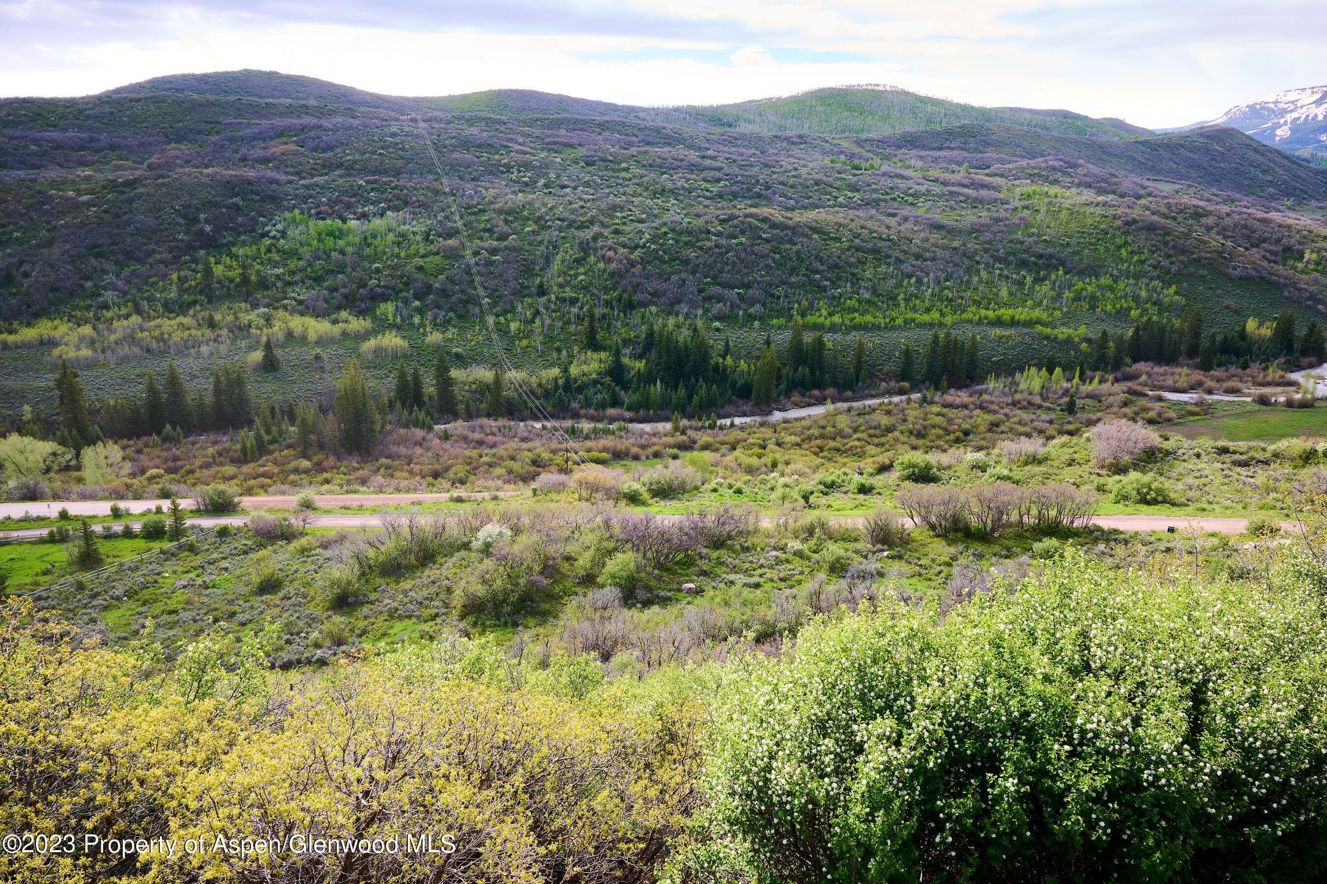 51 Shield O Road, Snowmass, CO 81654 - Photo 17