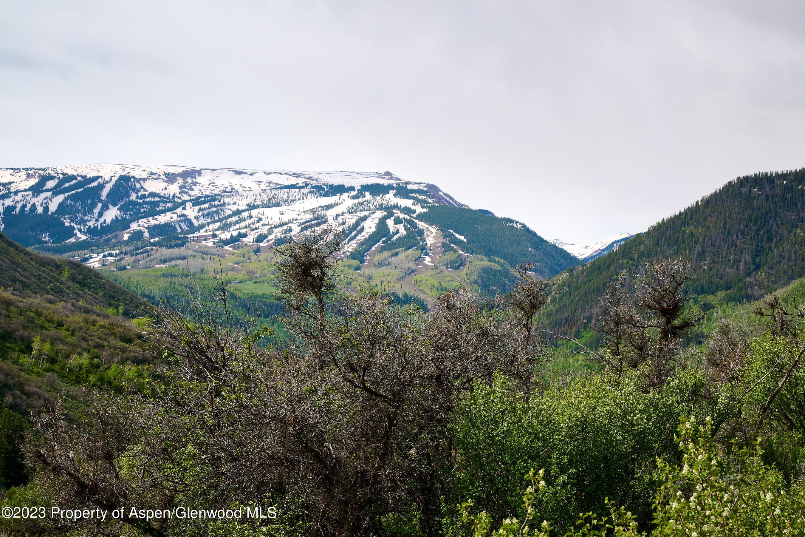 51 Shield O Road, Snowmass, CO 81654 - Photo 18