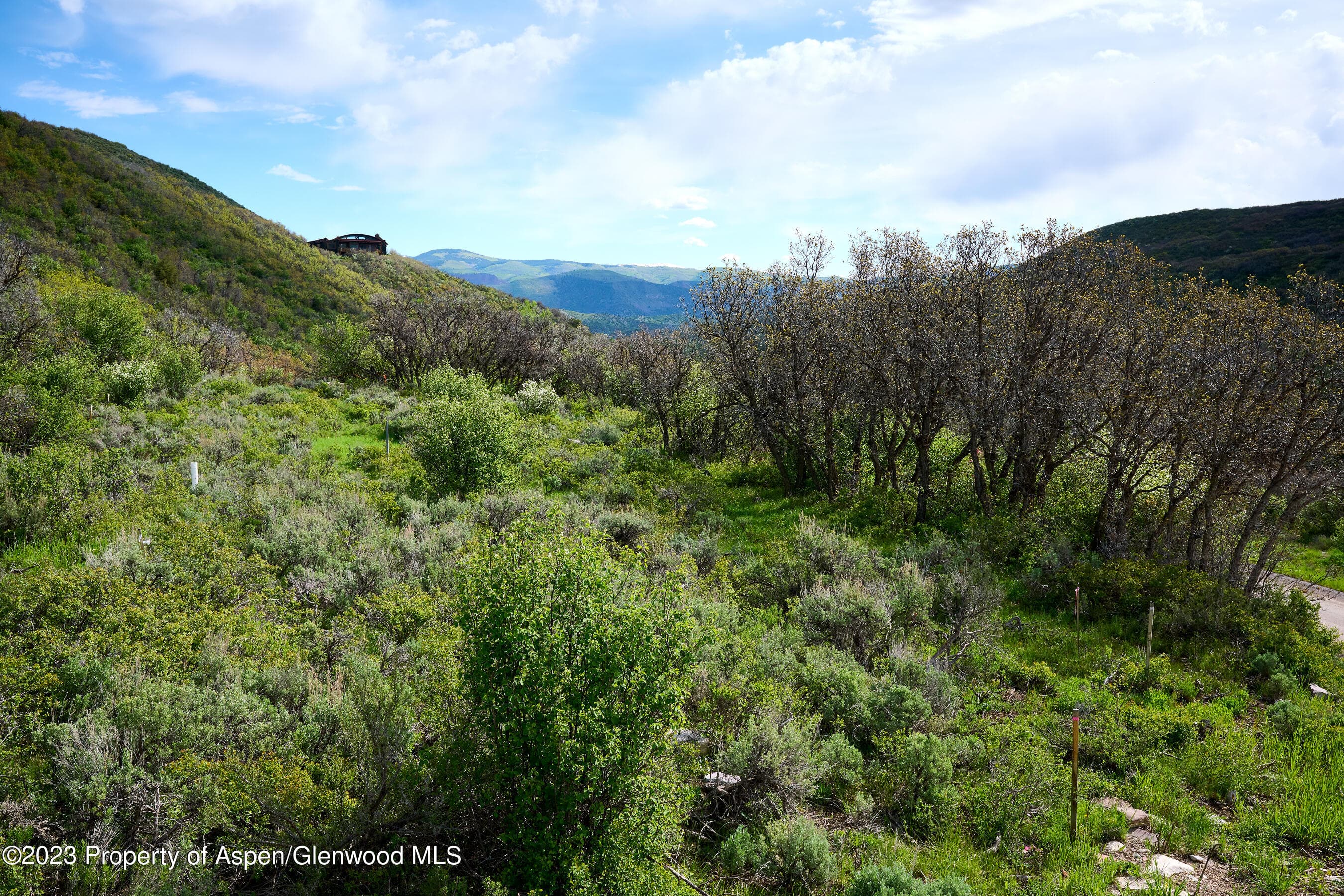 51 Shield O Road, Snowmass, CO 81654 - Photo 19