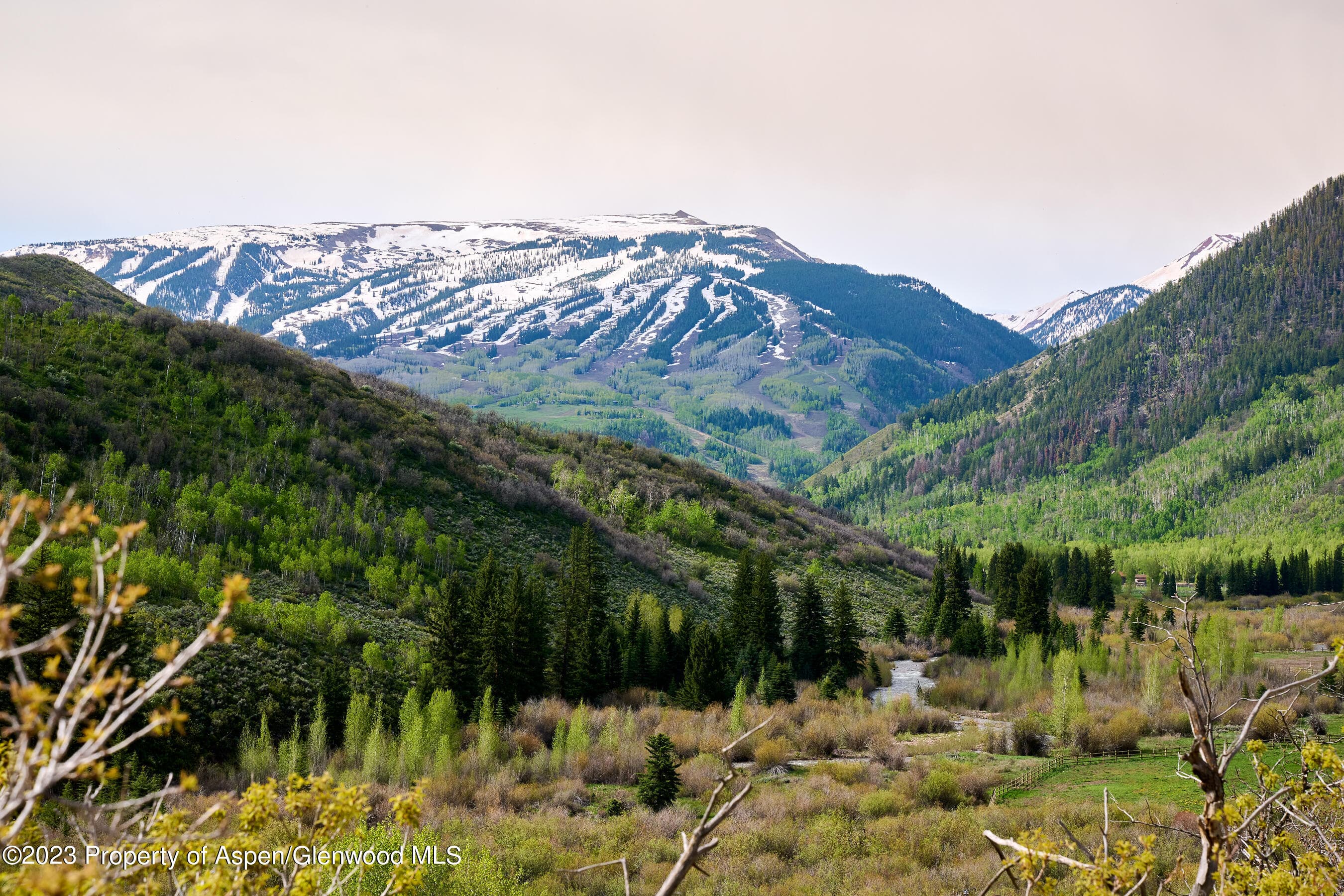 51 Shield O Road, Snowmass, CO 81654 - Photo 21